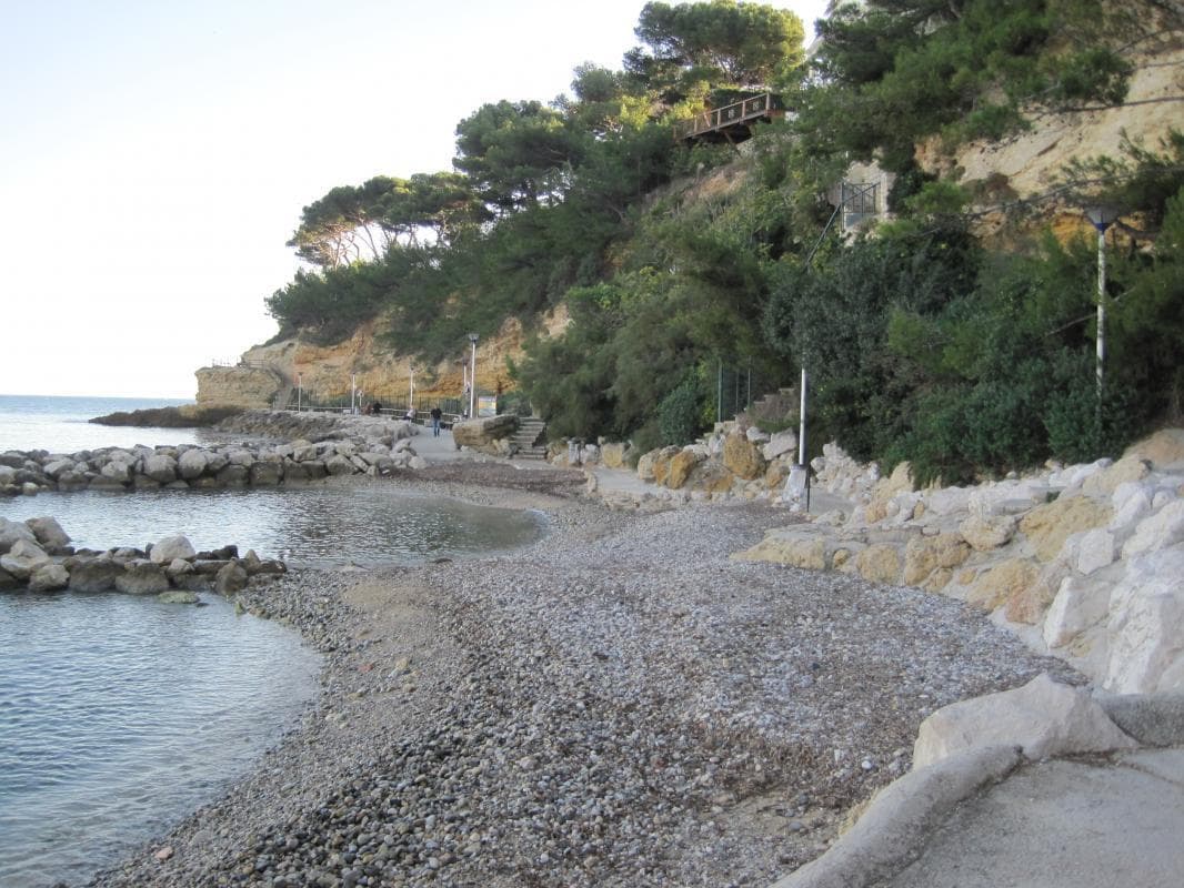 Le Margouillat
