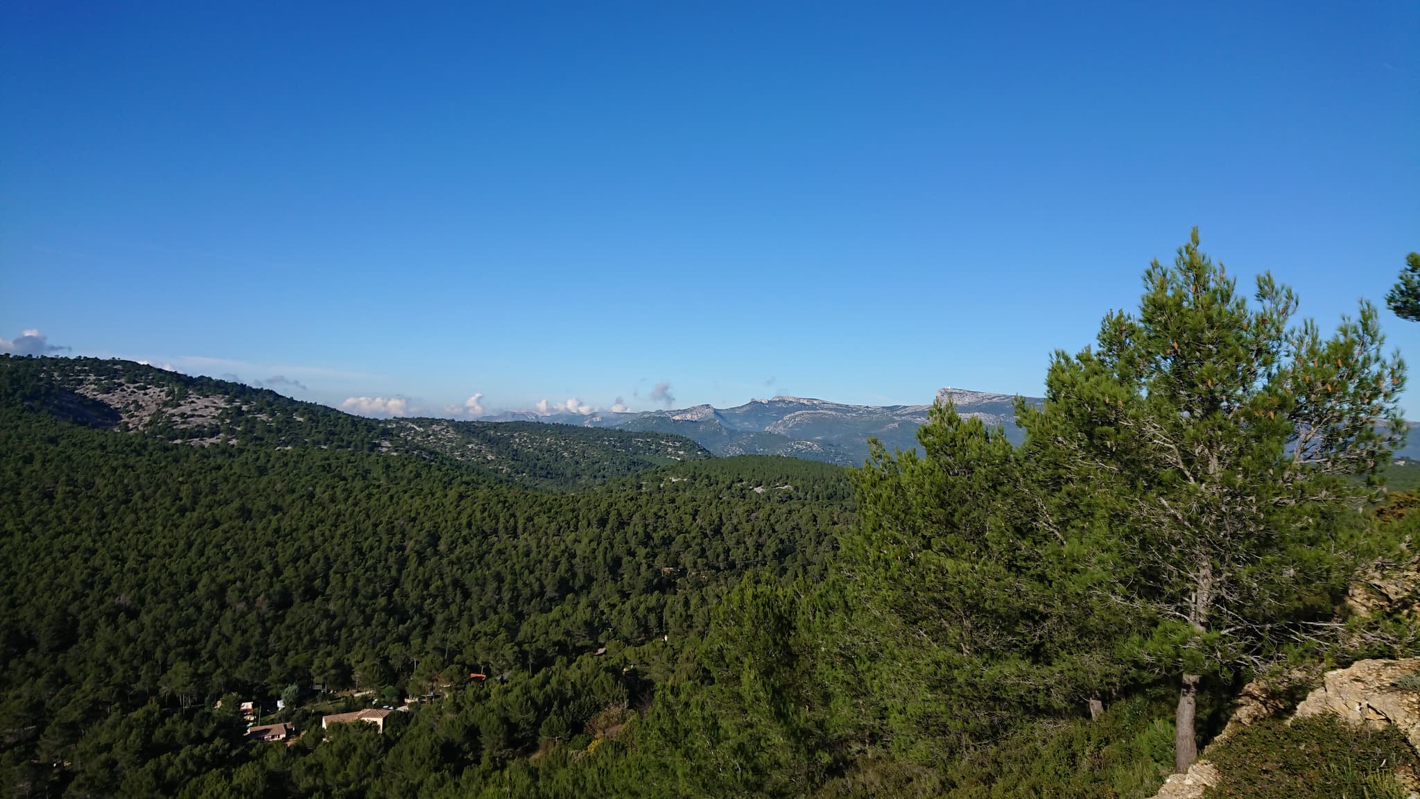 Forêt de Fontblanche