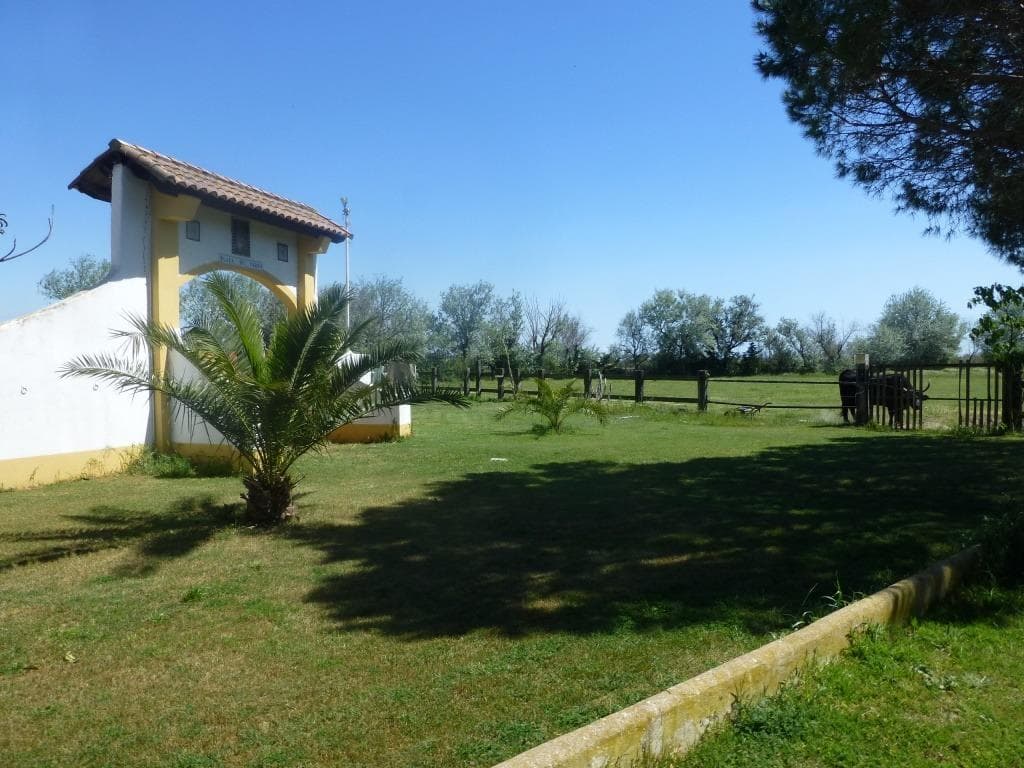 El Rocio 2