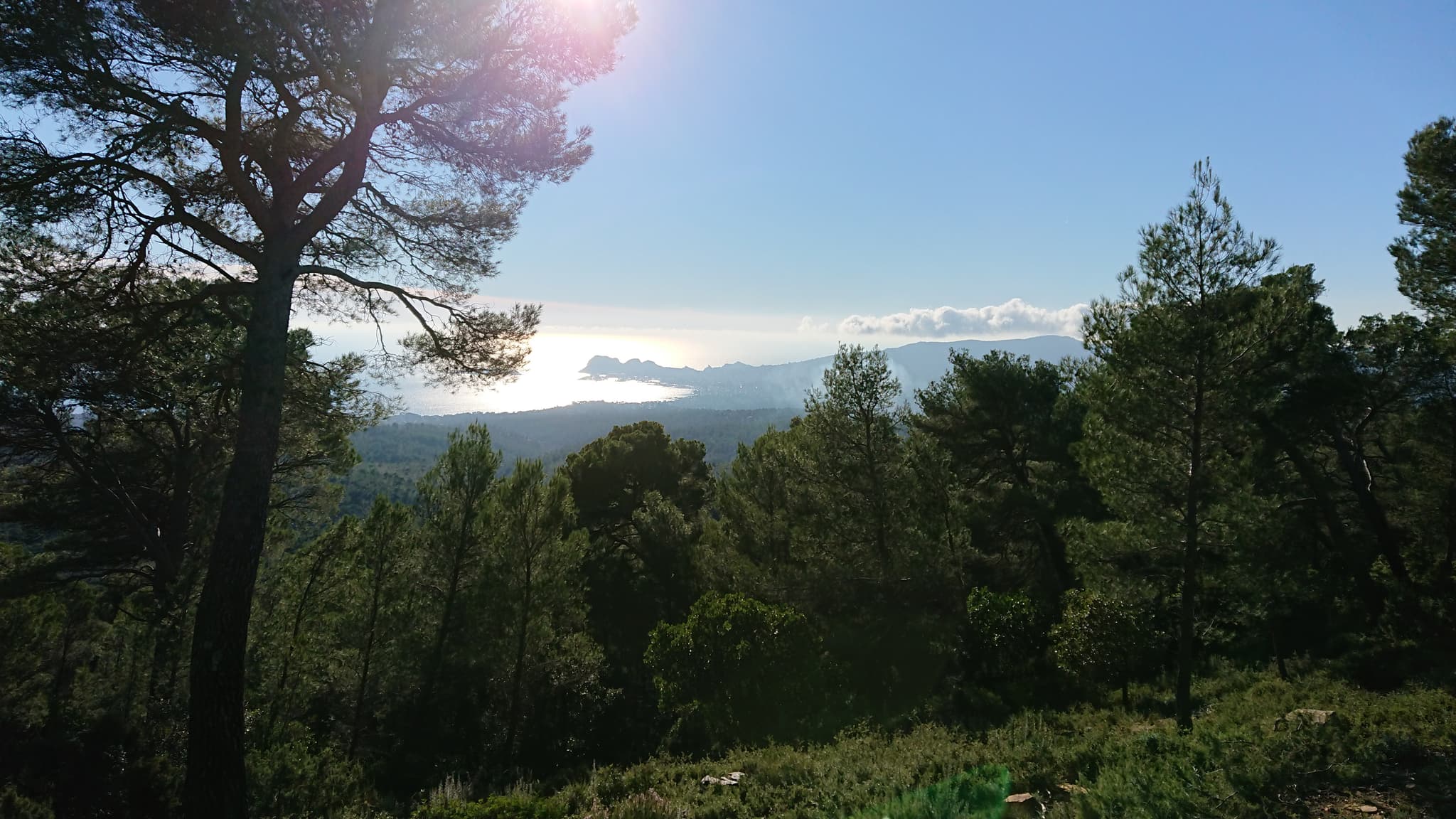 Forêt de Fontblanche