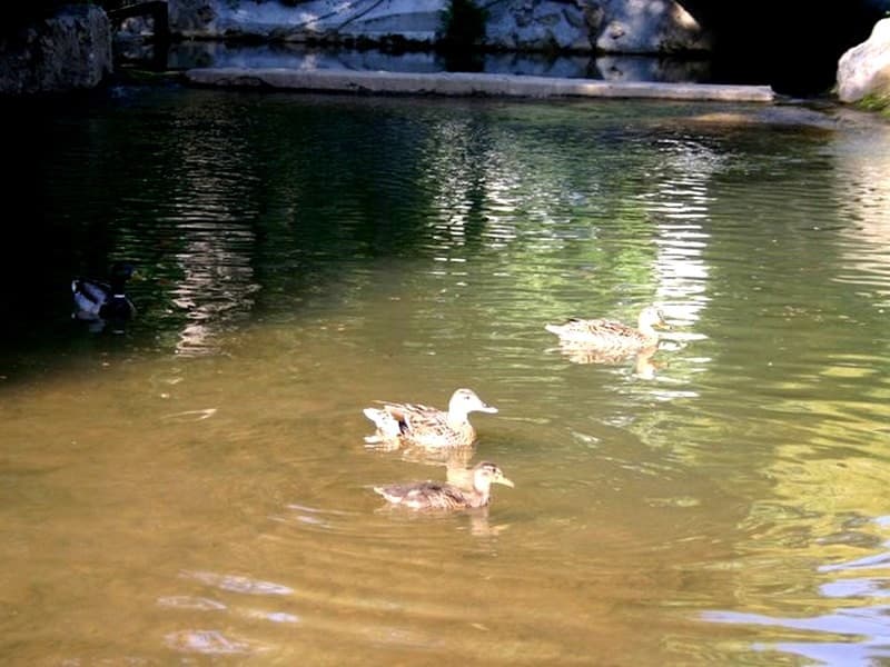 13T1000550_3_HD.jpg