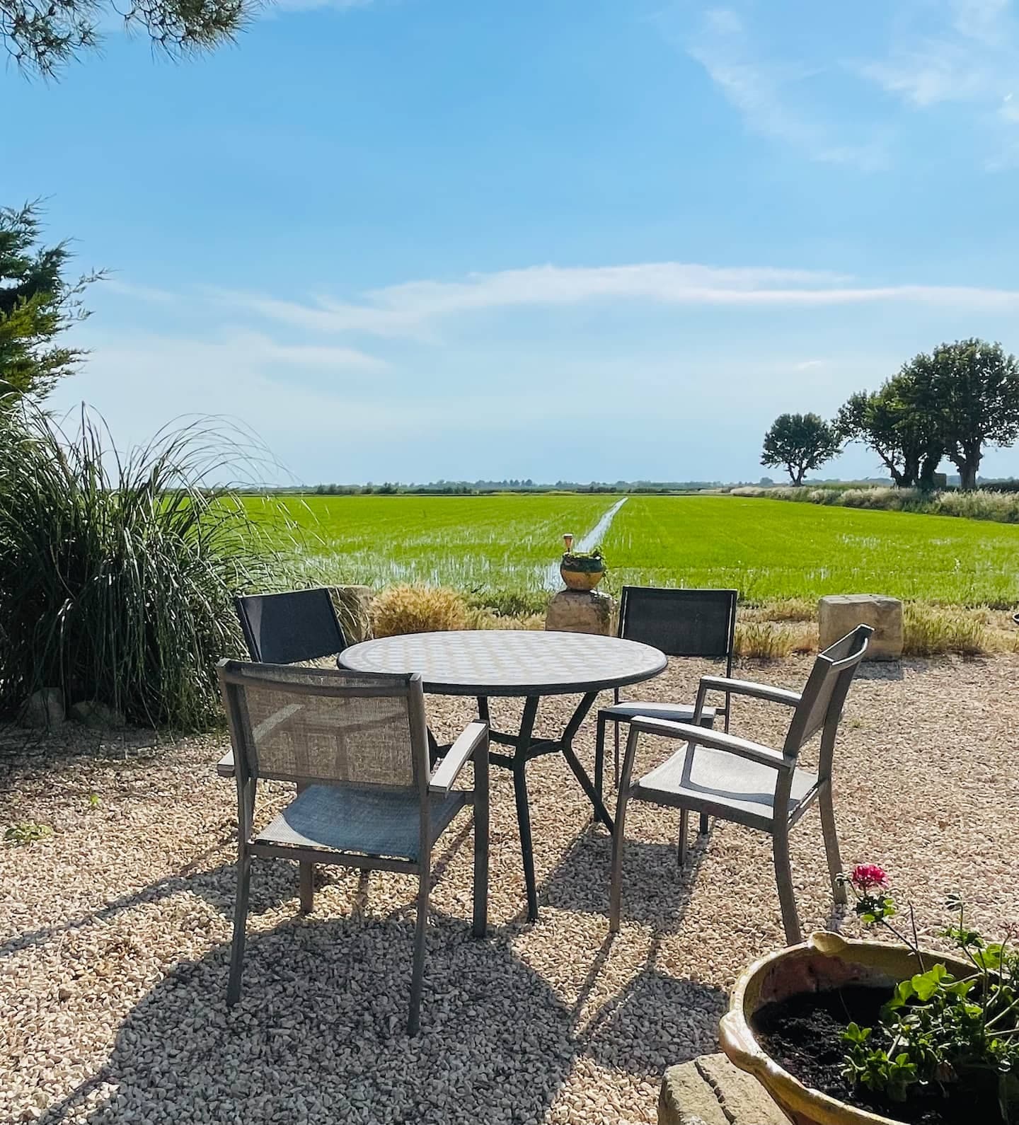Le Cigalon - Les pieds en Camargue