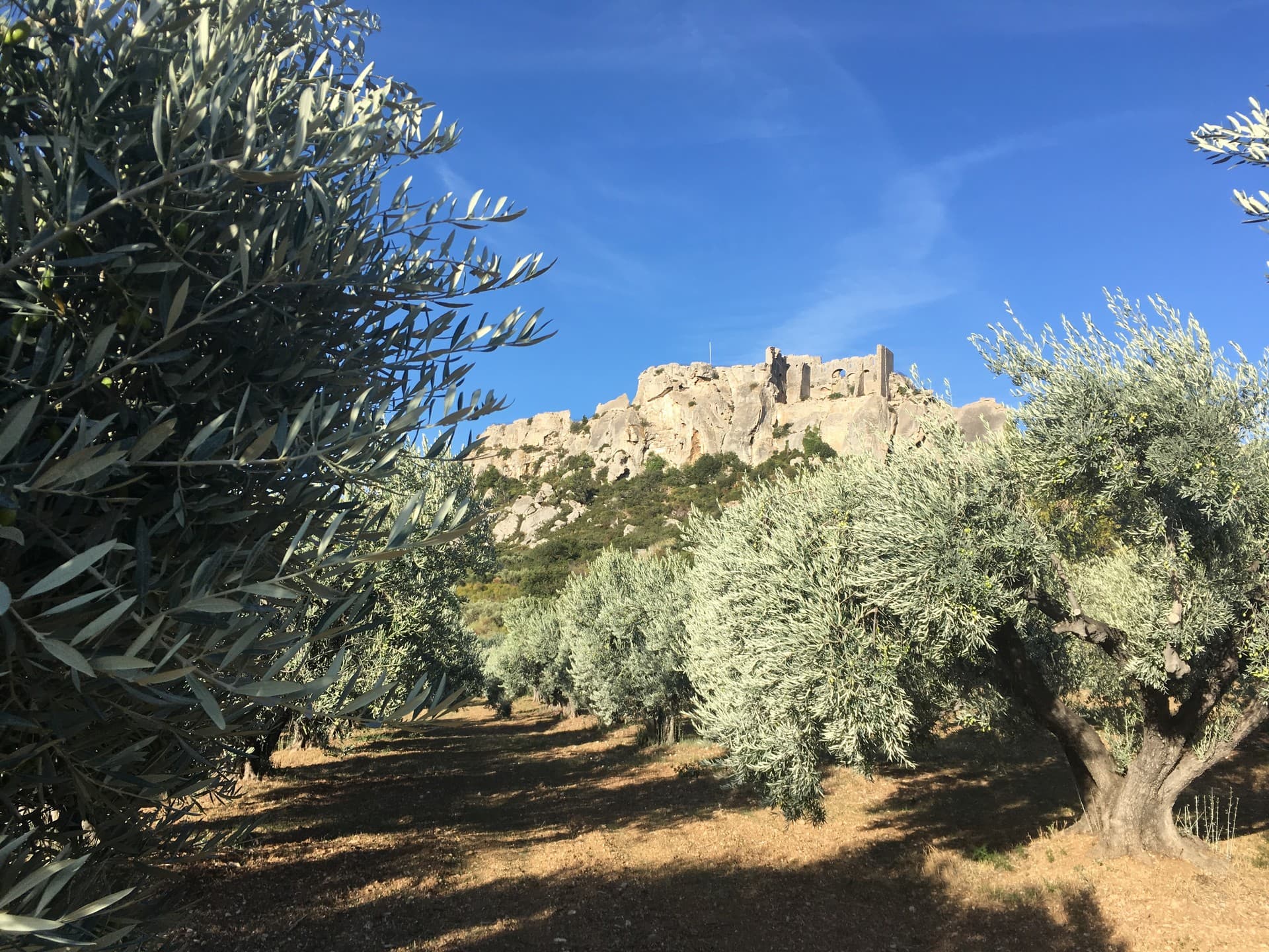 Mas de Cayol
