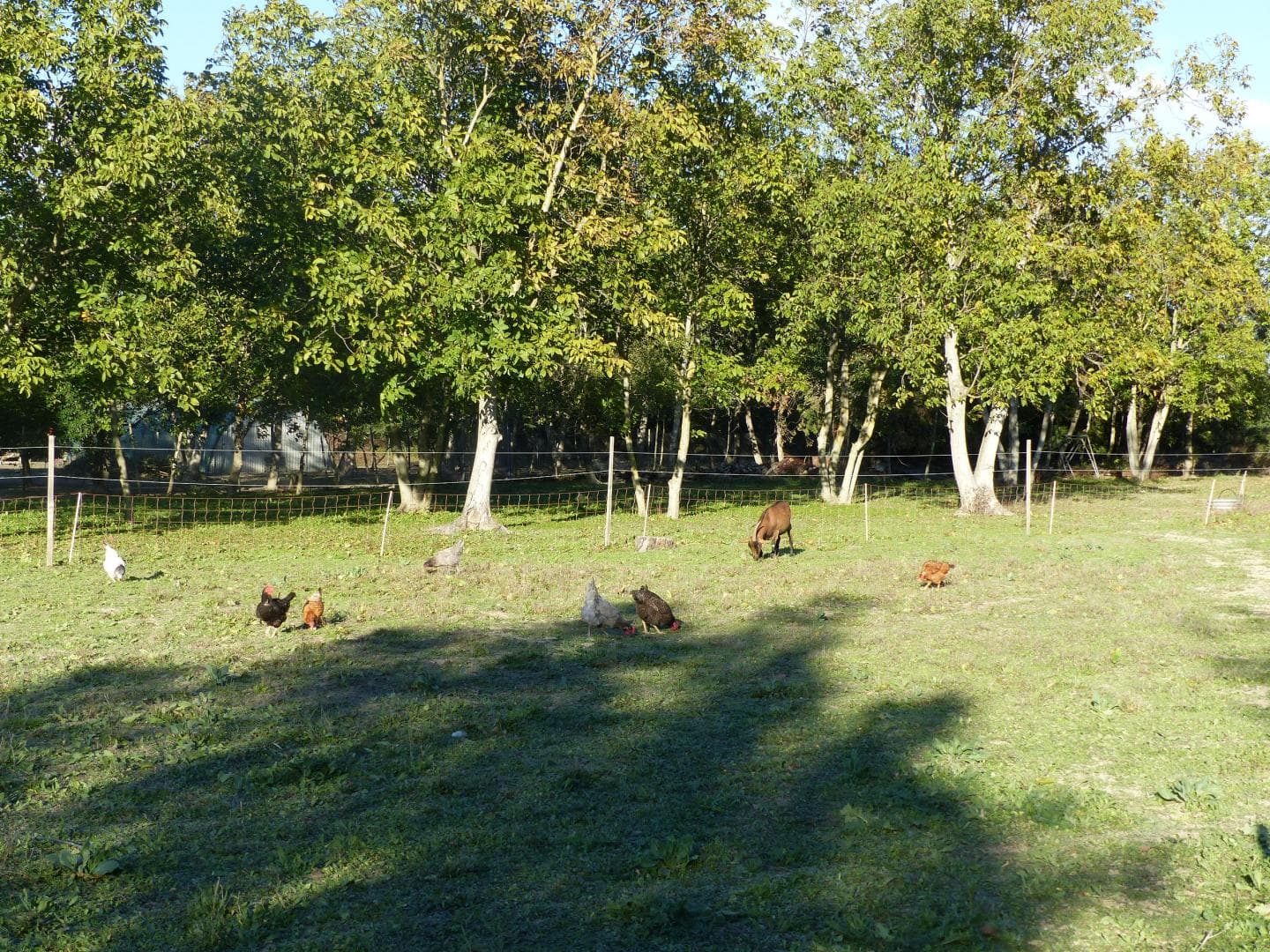 Le Tipi Provençal