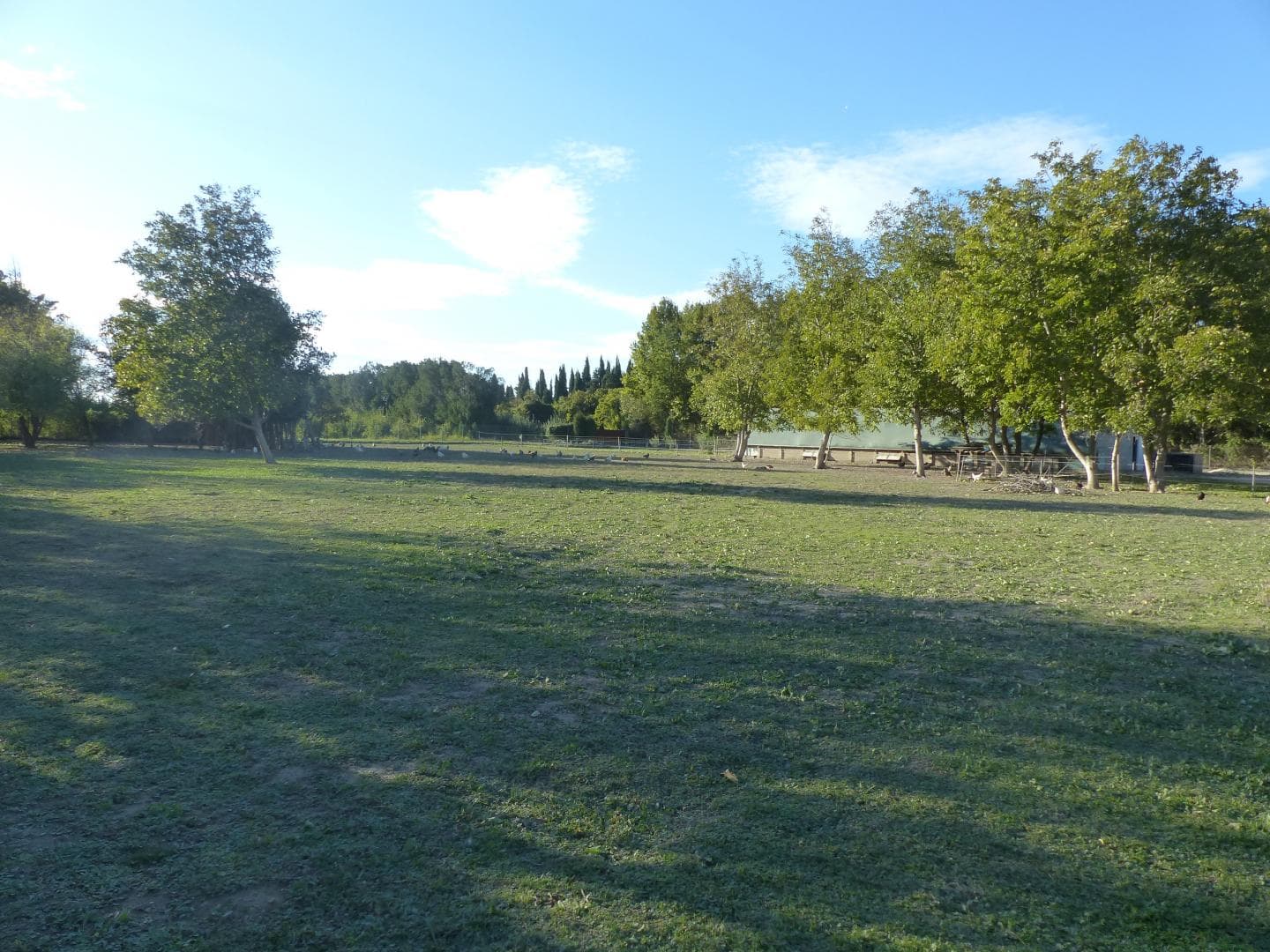 Le Tipi Provençal