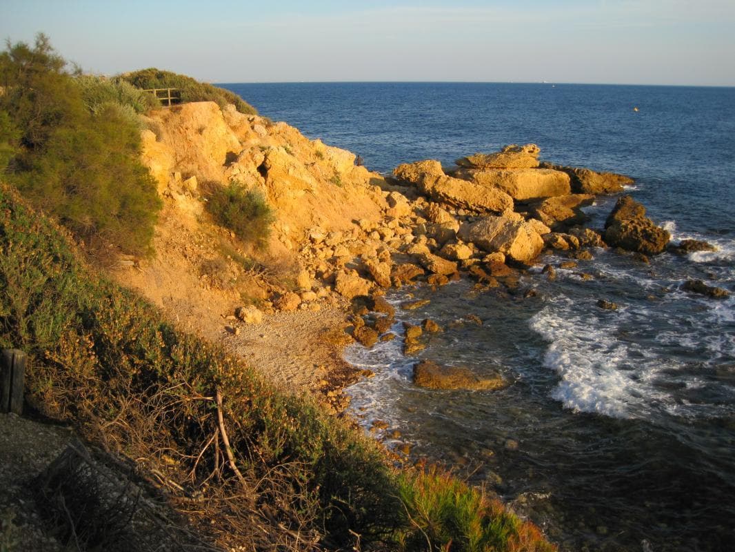 Le Margouillat