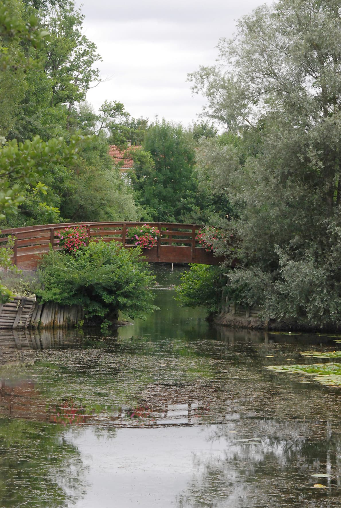 Photo_2.jpg