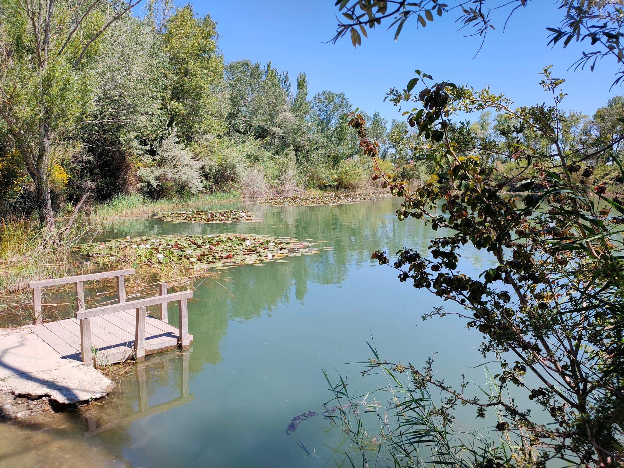 Chemin de la Dame en Vert