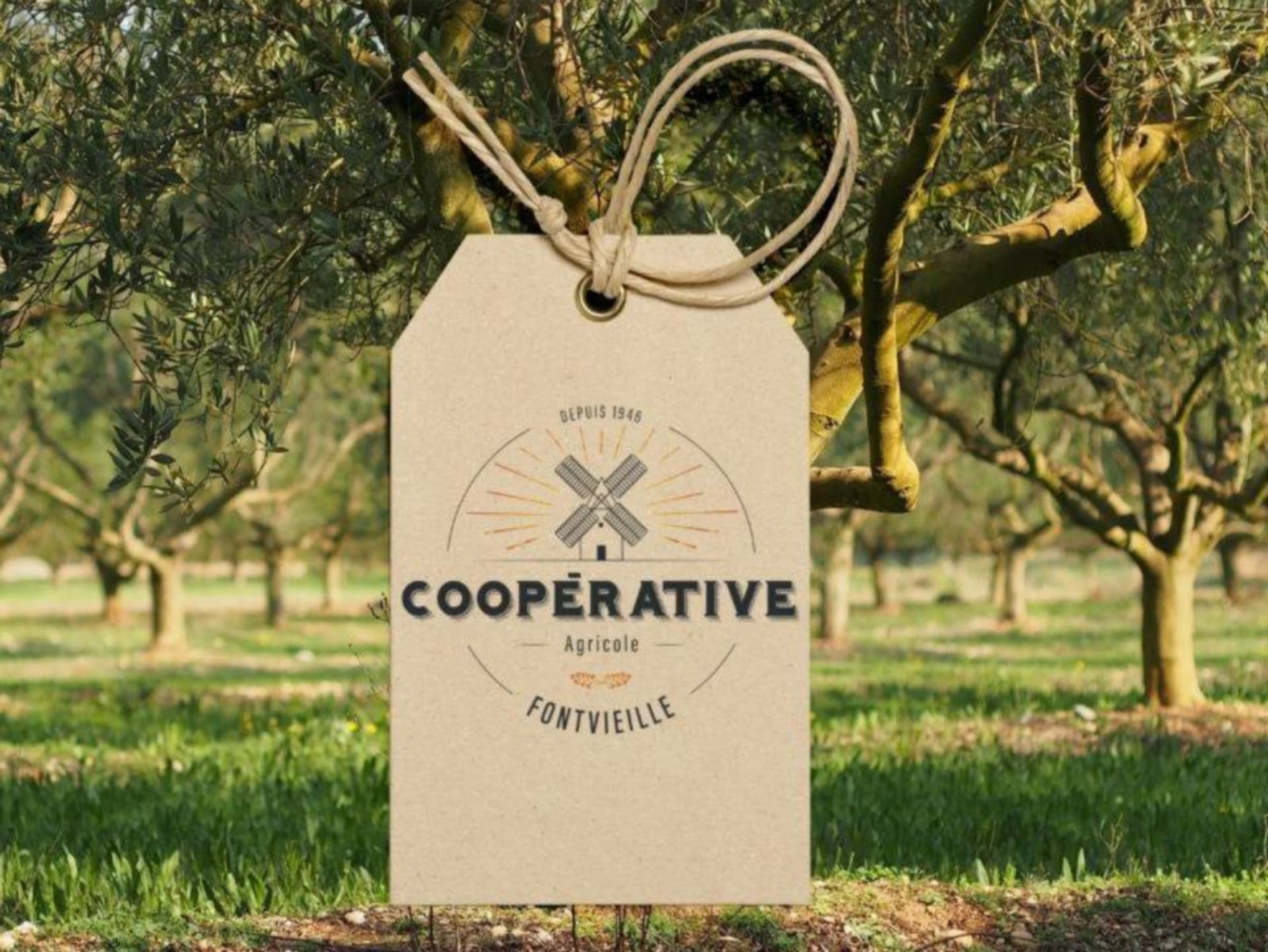 Coopérative Agricole