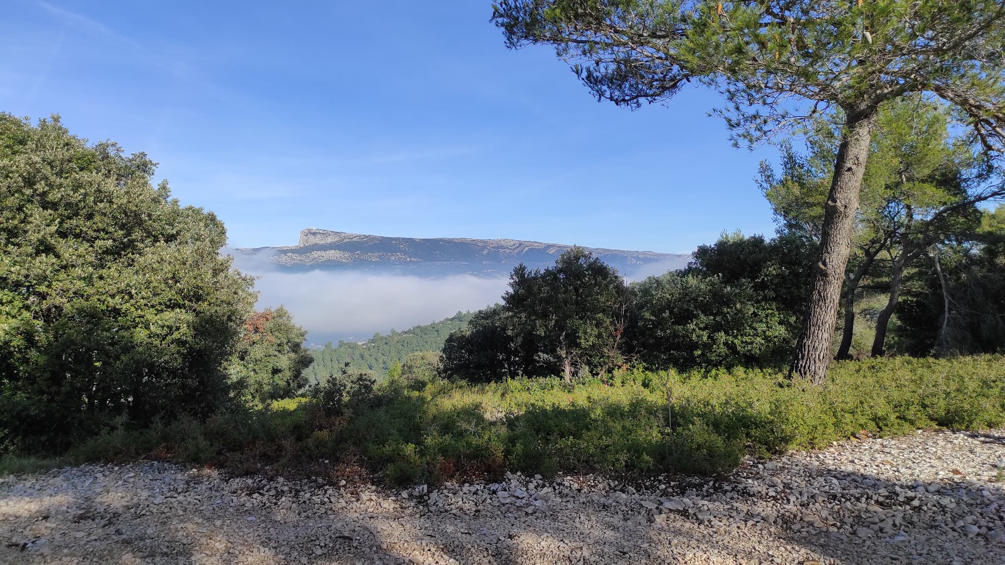 Forêt de Fontblanche