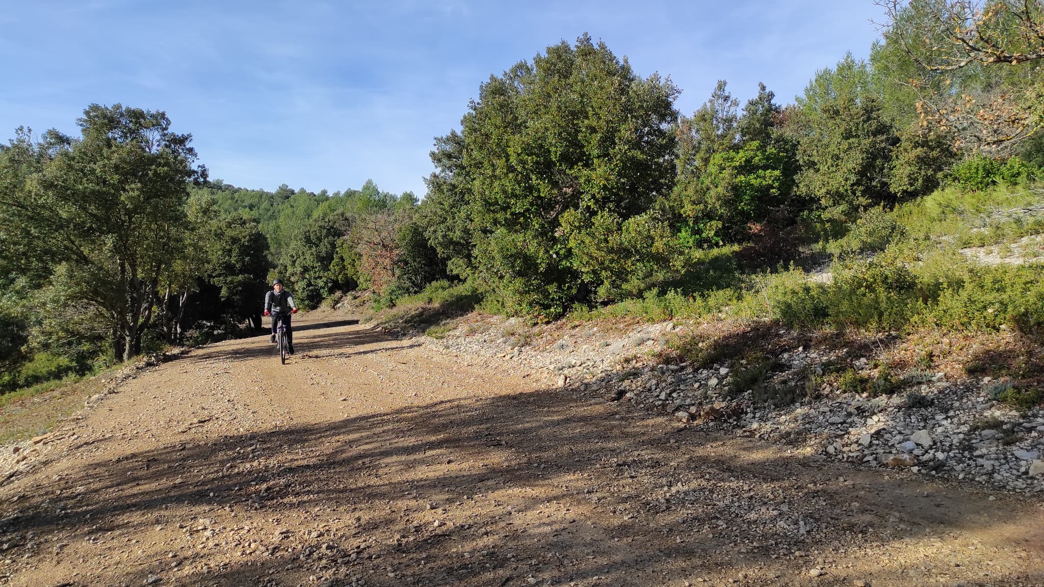 Forêt de Fontblanche