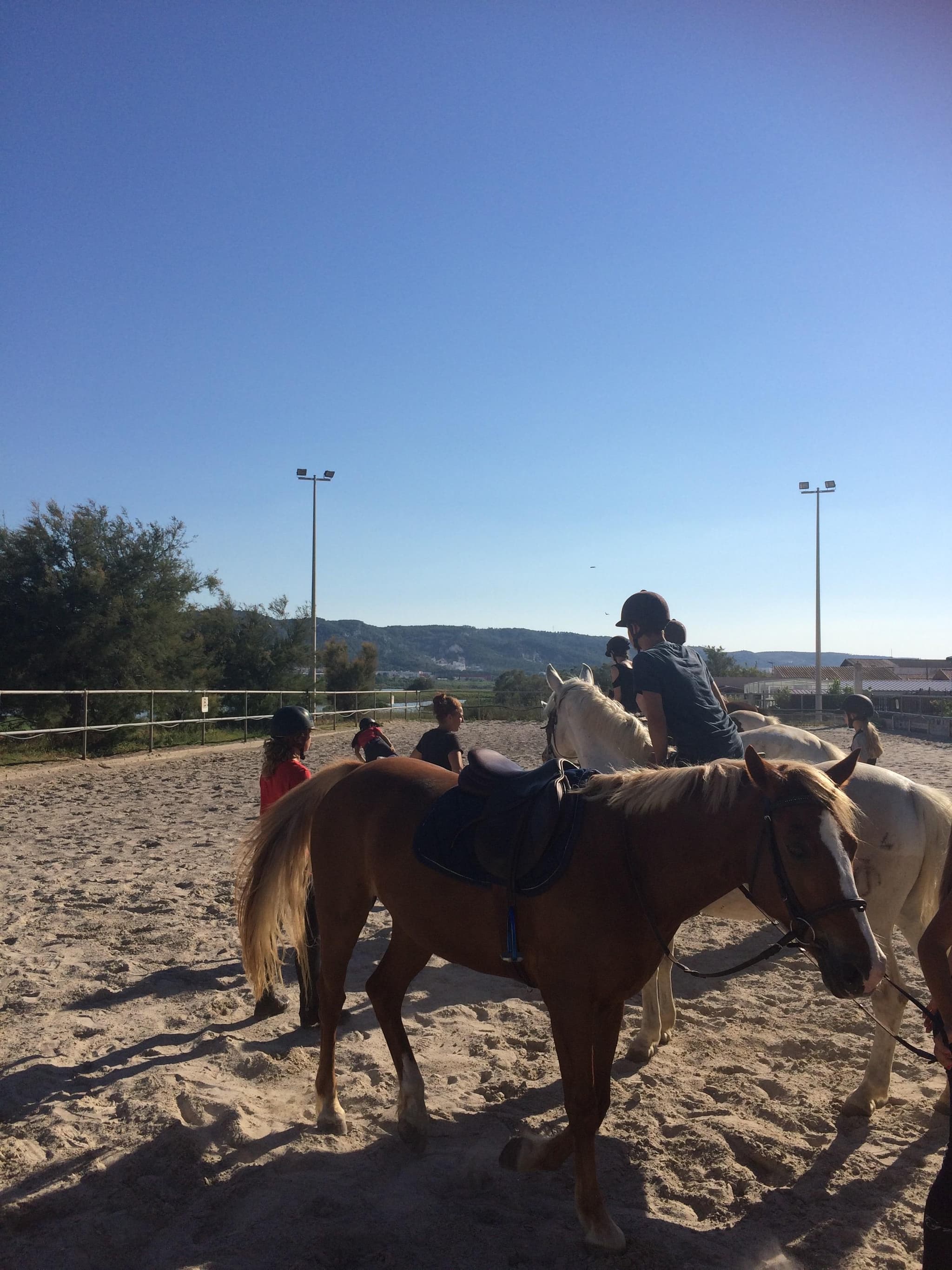 Escales Patrimoine : Balades à cheval