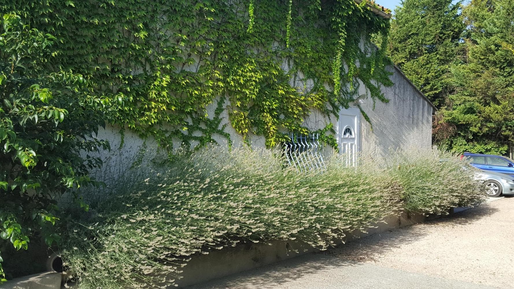 La Maison des Oiseaux
