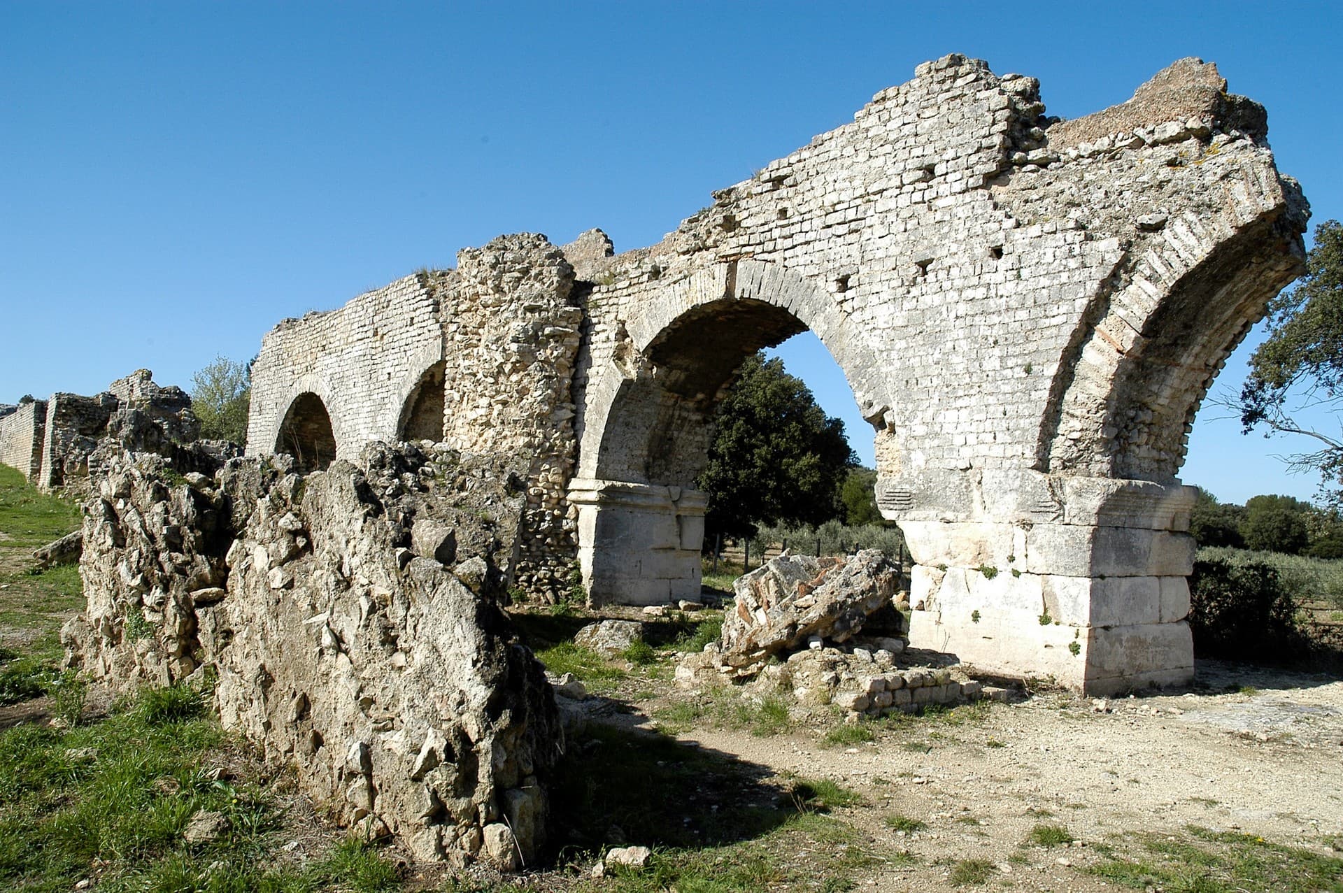 Camargue Alpilles Safari