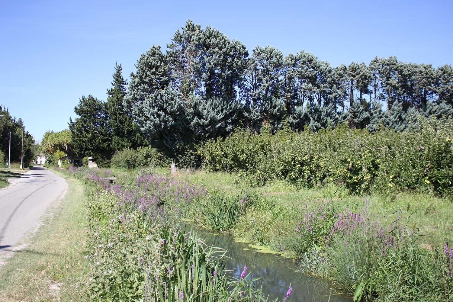 Au fil de l'eau