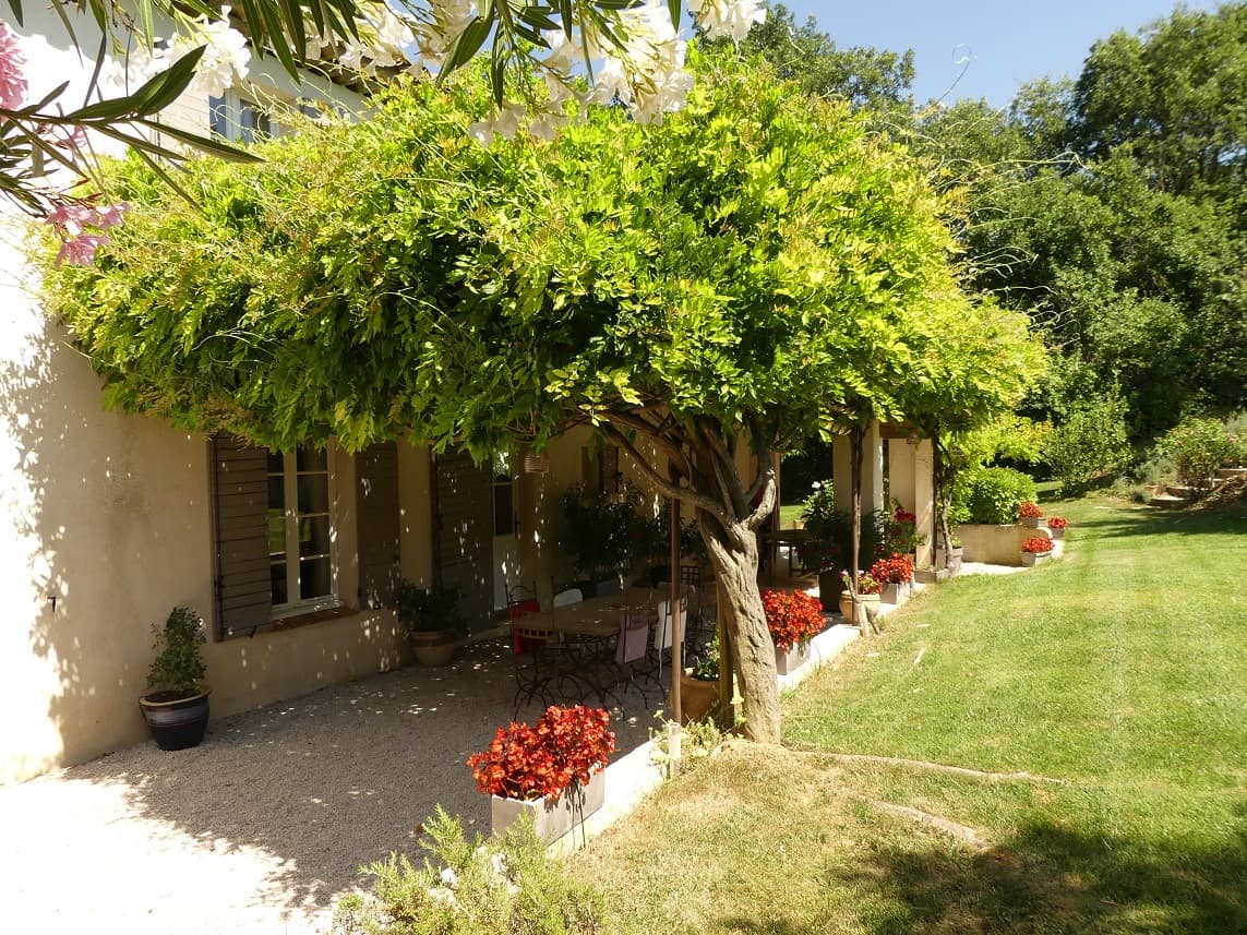 terrrasse glycine