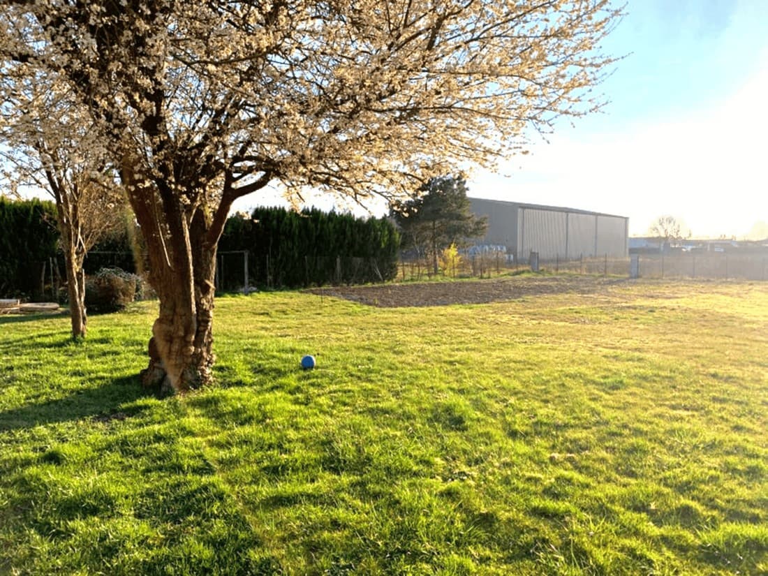 jardin.jpg