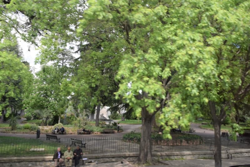 Le Jardin d'été et son aire de jeu