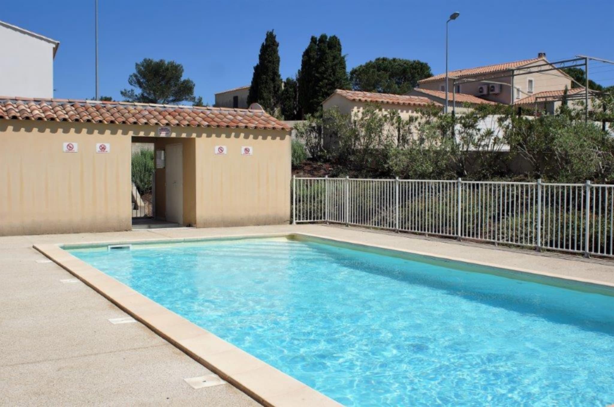 Alba_rosa_piscine