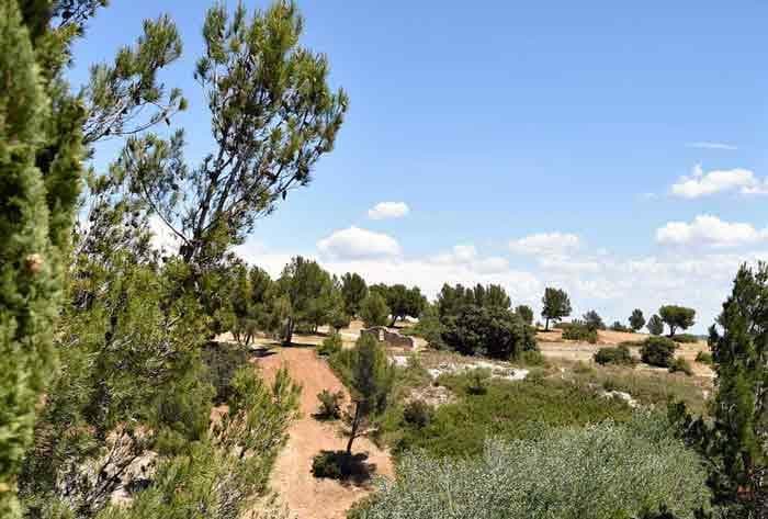 Mazet la Tour (603) - Les Garrigues de la Vallée des Baux