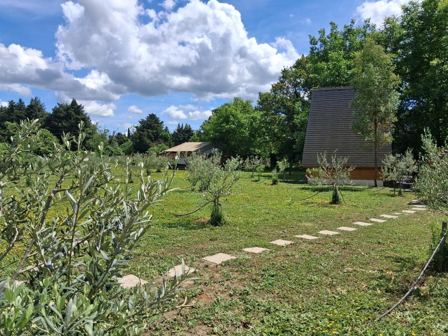 Le Tipi Provençal