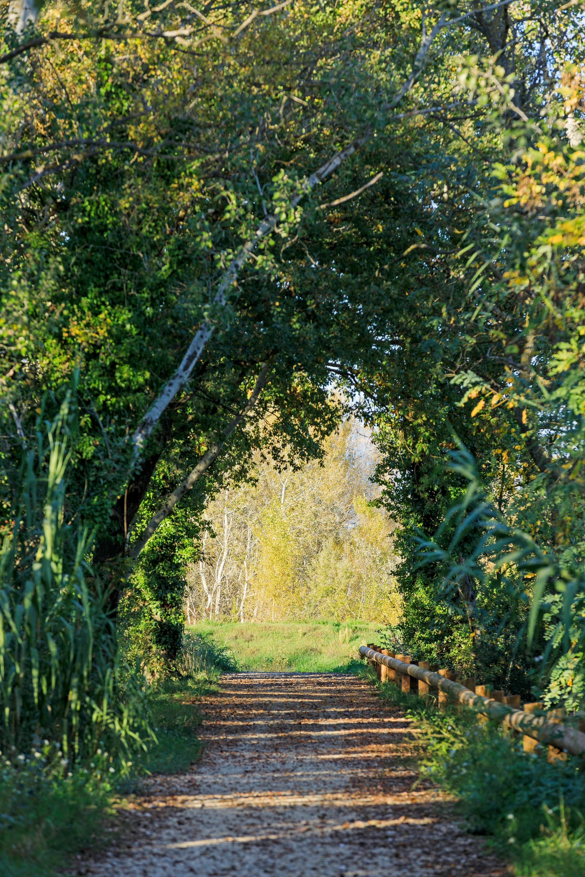 Voie Verte en bord de Durance_Pertuis