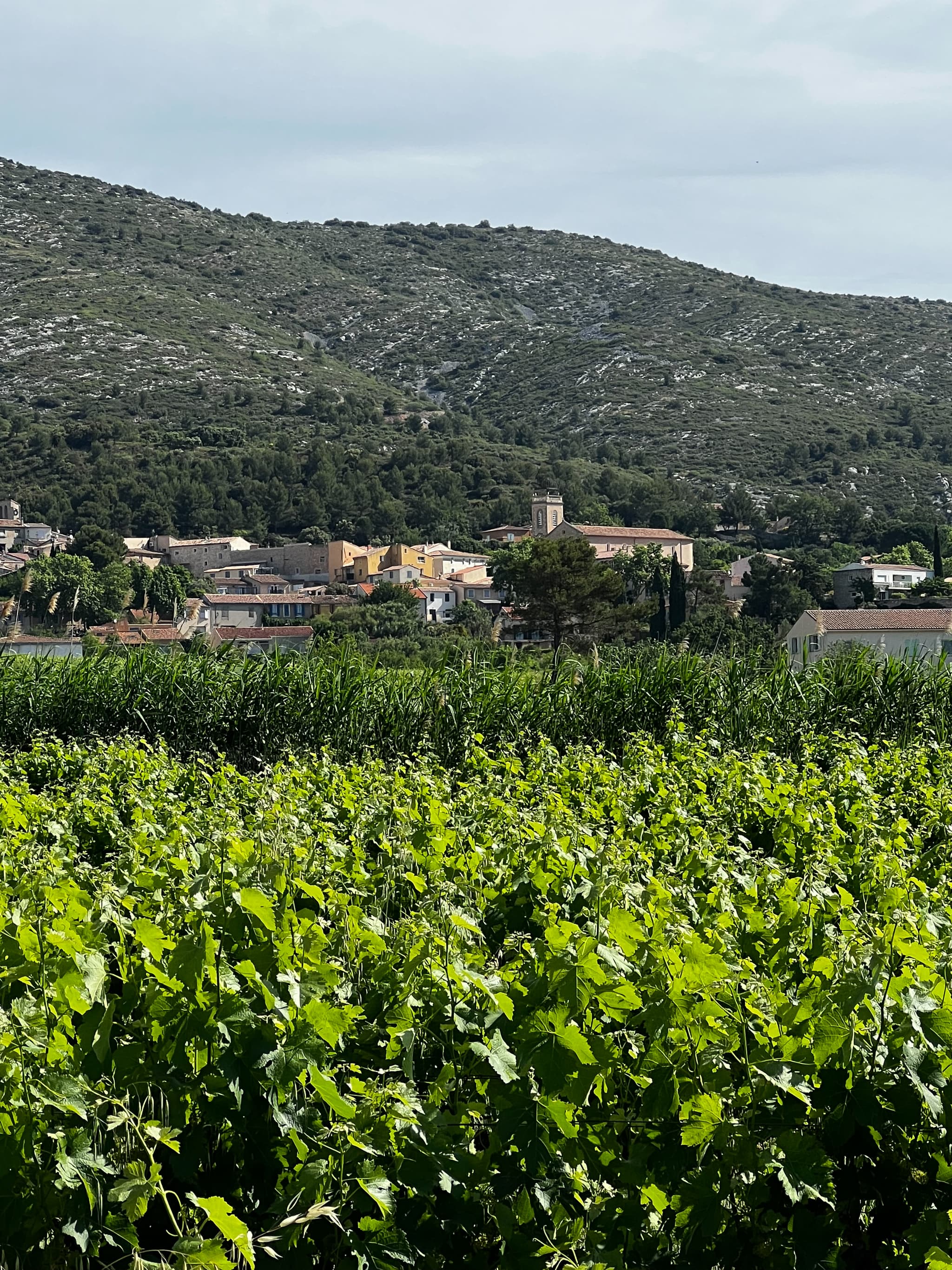 Randonnée au coeur du village