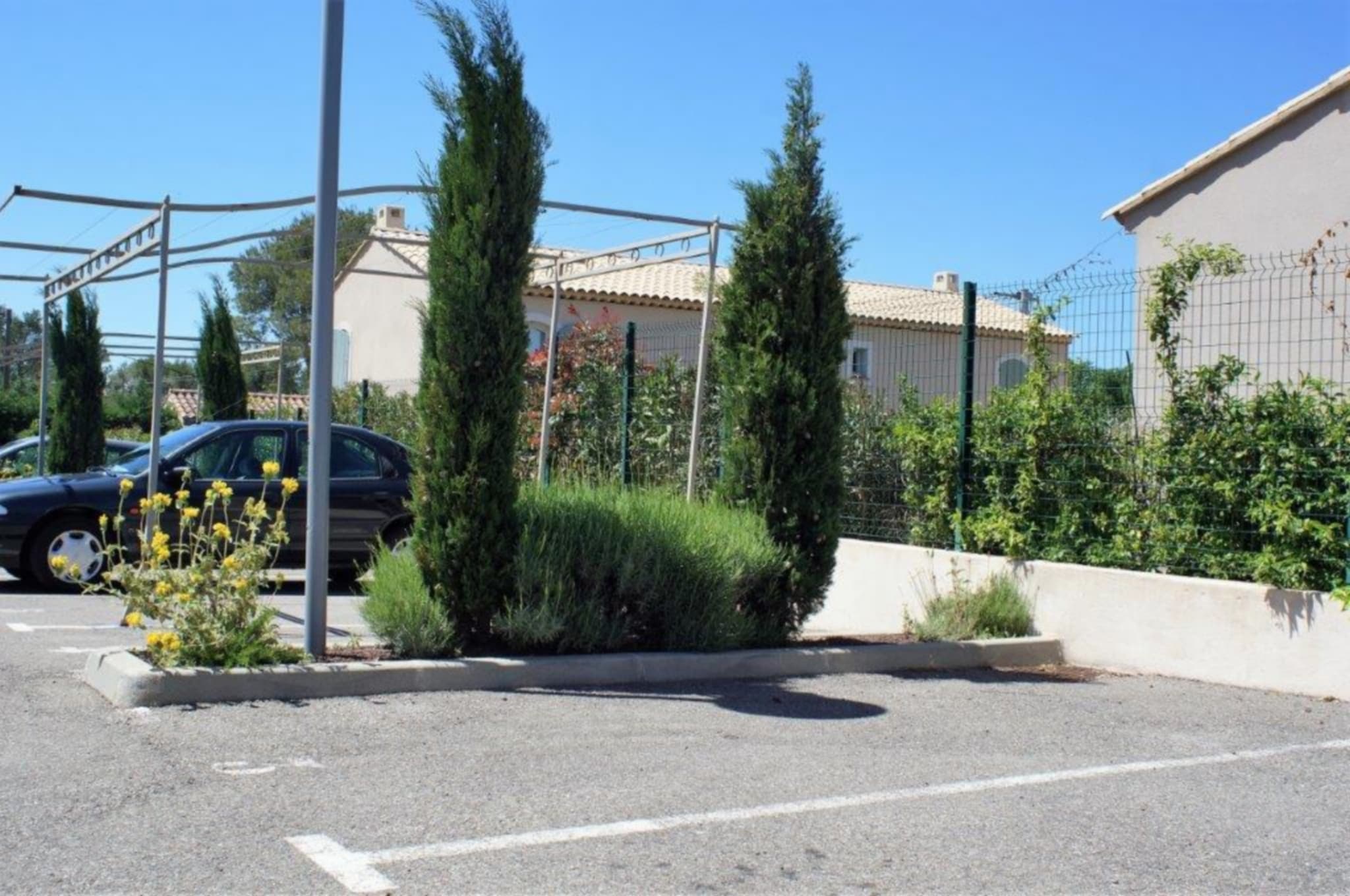 Alba_rosa_parking