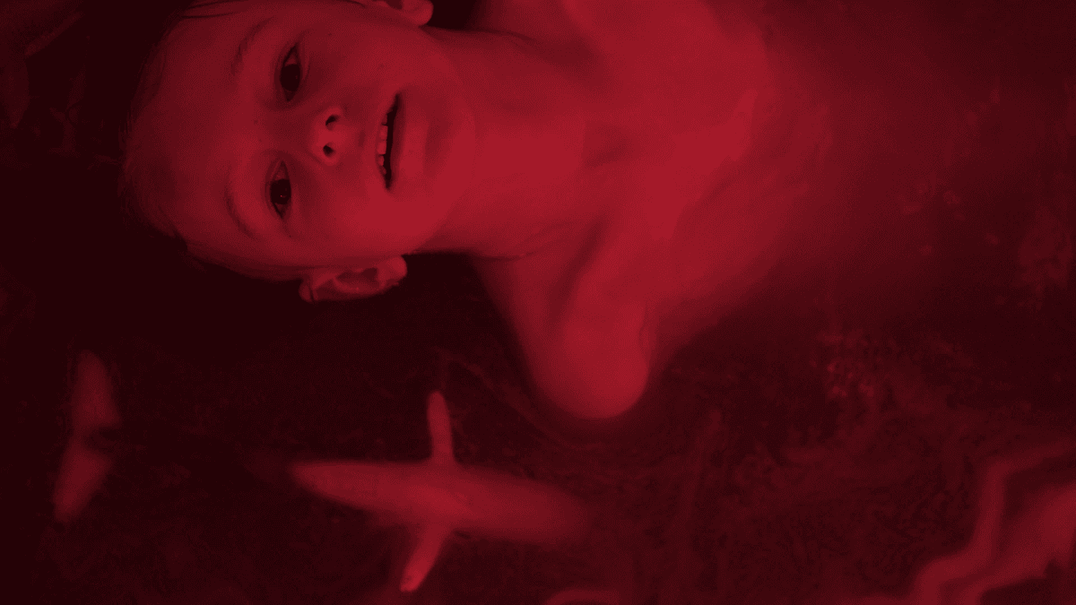 LUMA Arles / In the Veins_Arles