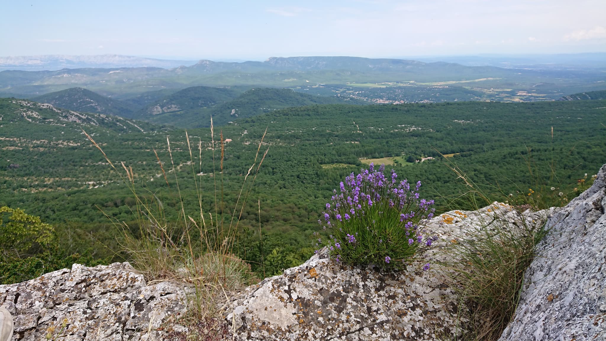 Massif de la Sainte Baume