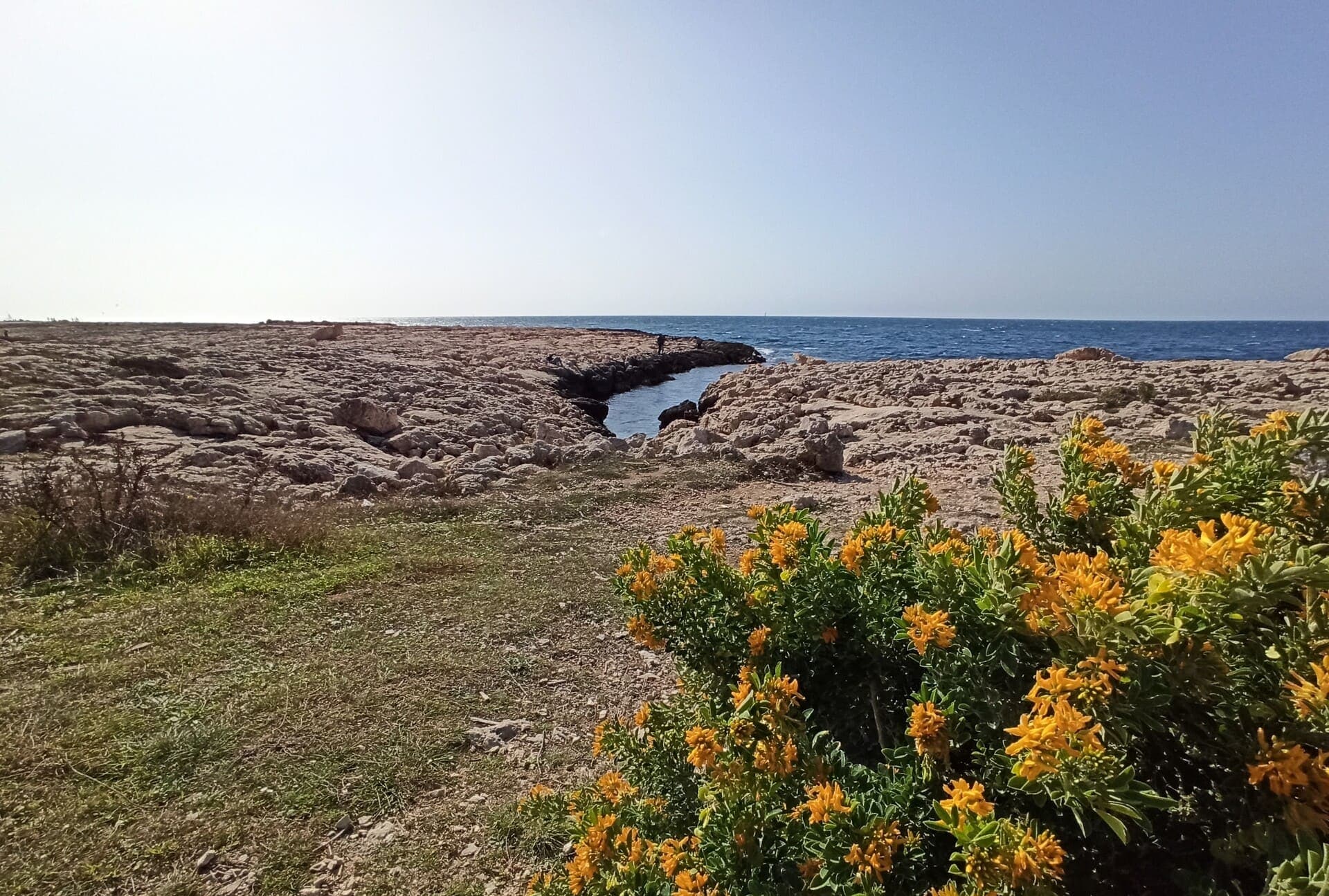 Boucle botanique de la plaine de Carro_Martigues