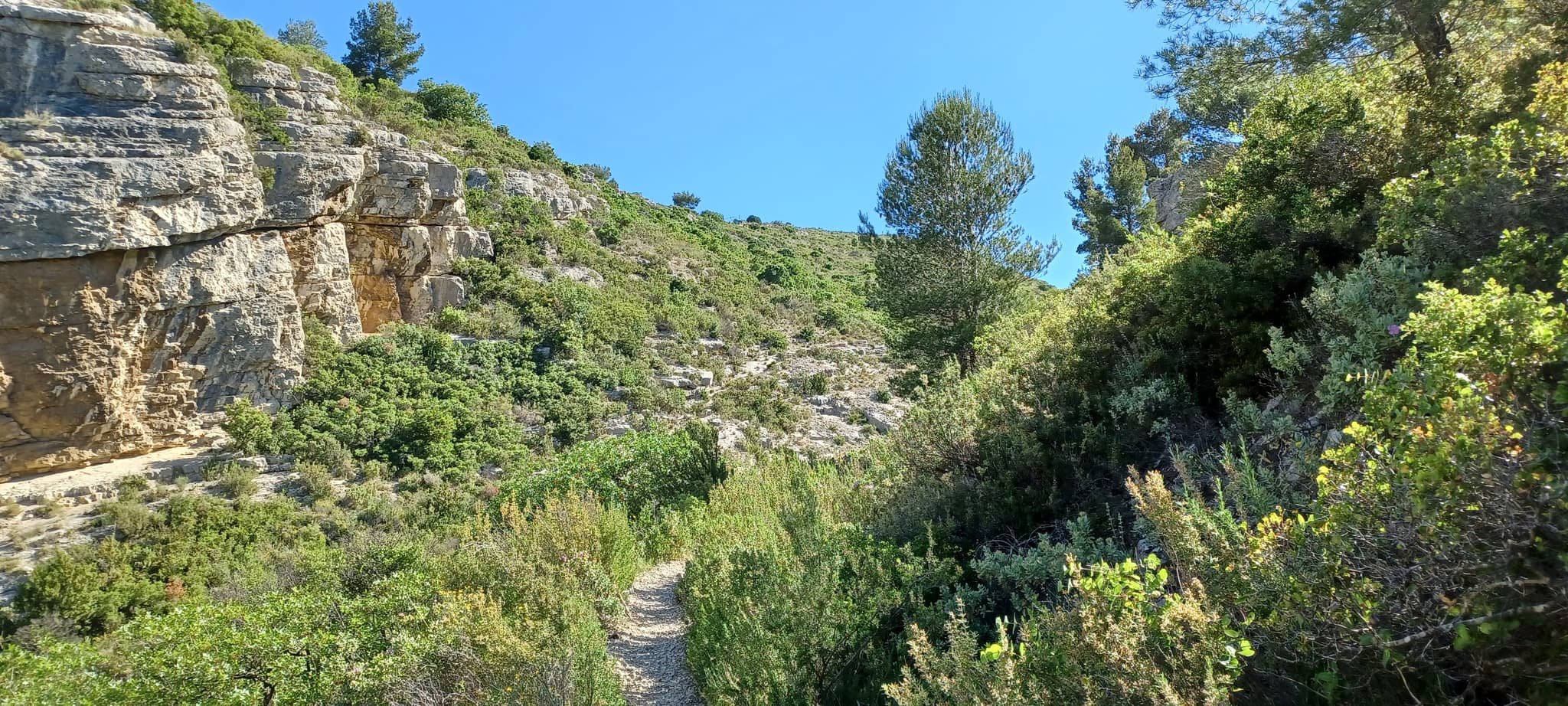 Trail sous le Mont Julien