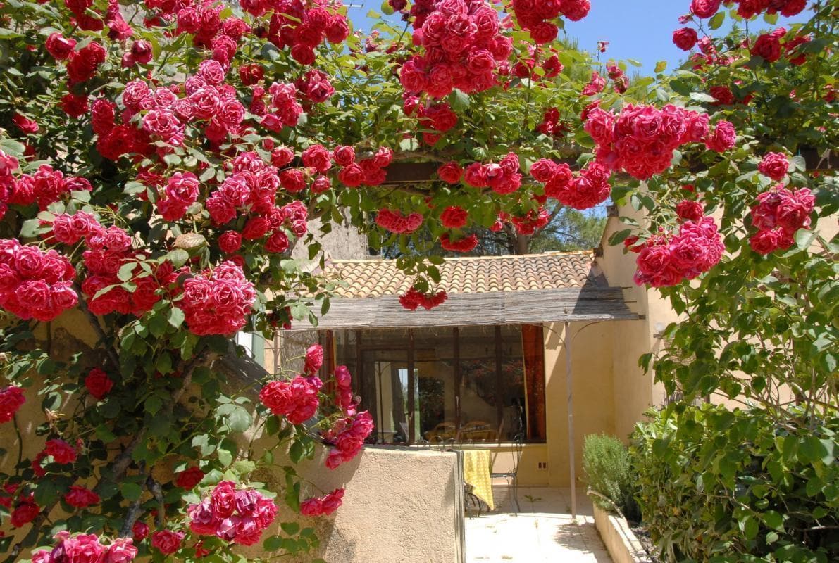 Terrasse Sud