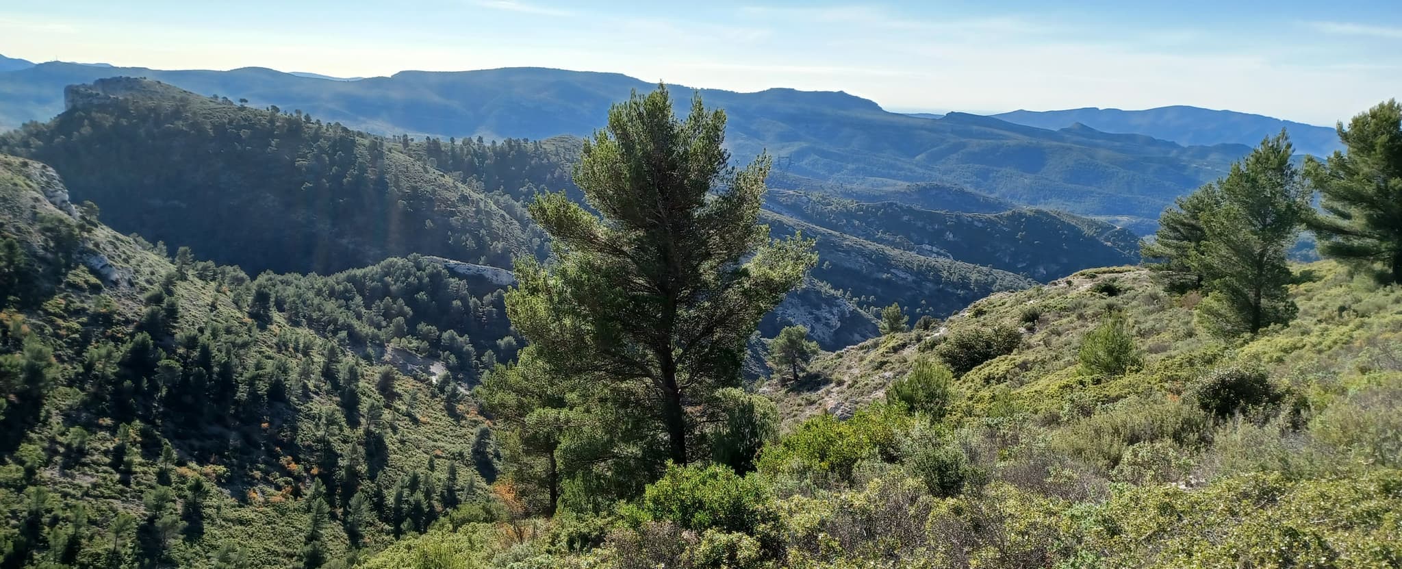 Trail sous le Mont Julien