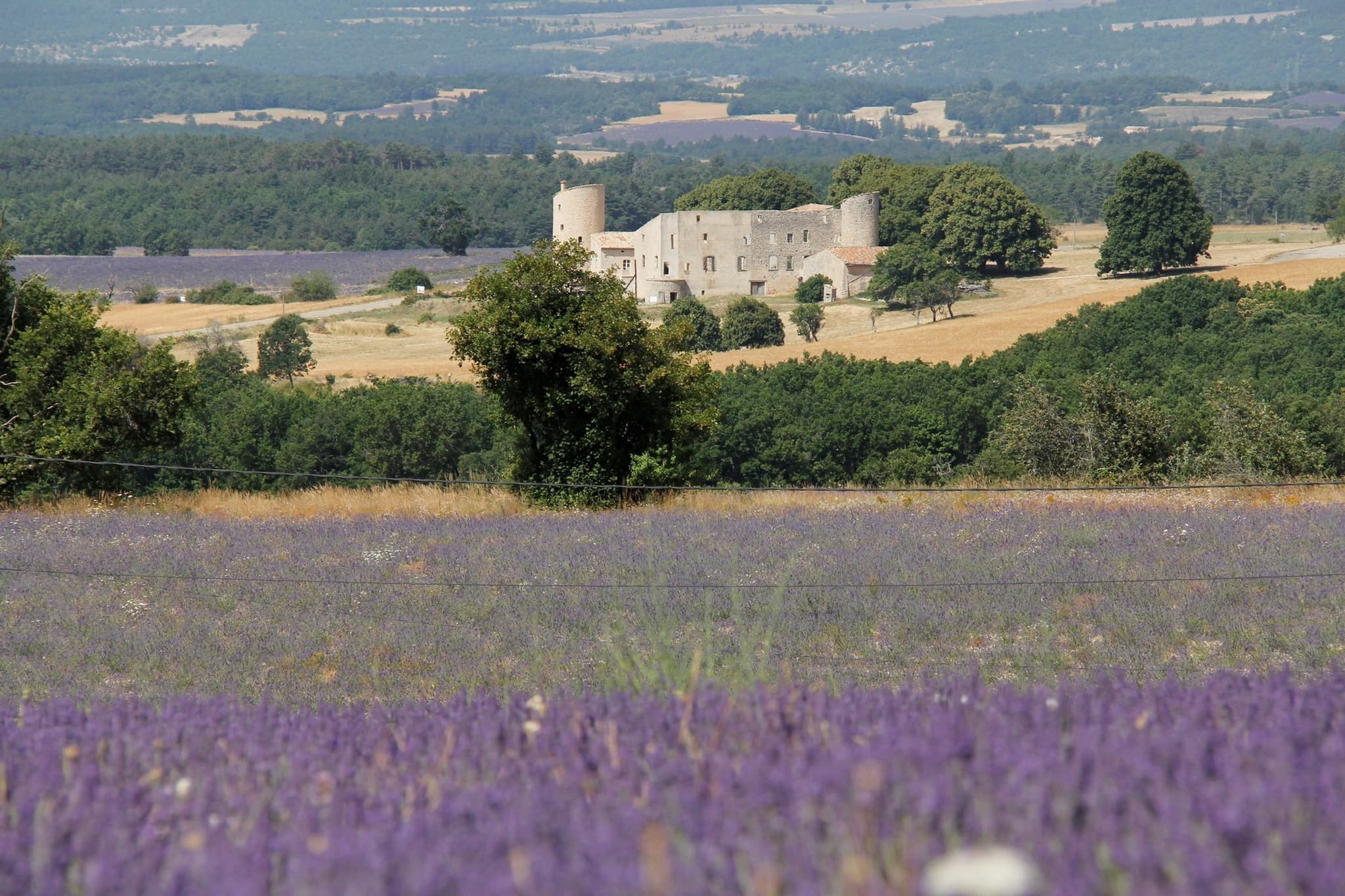 Chateau_la_gabelle_champs