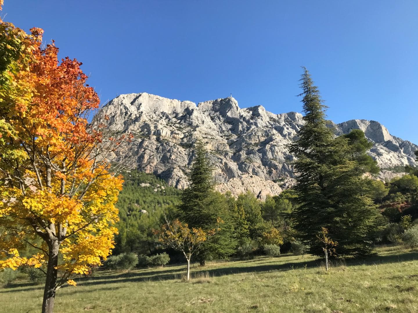 La Feuillère