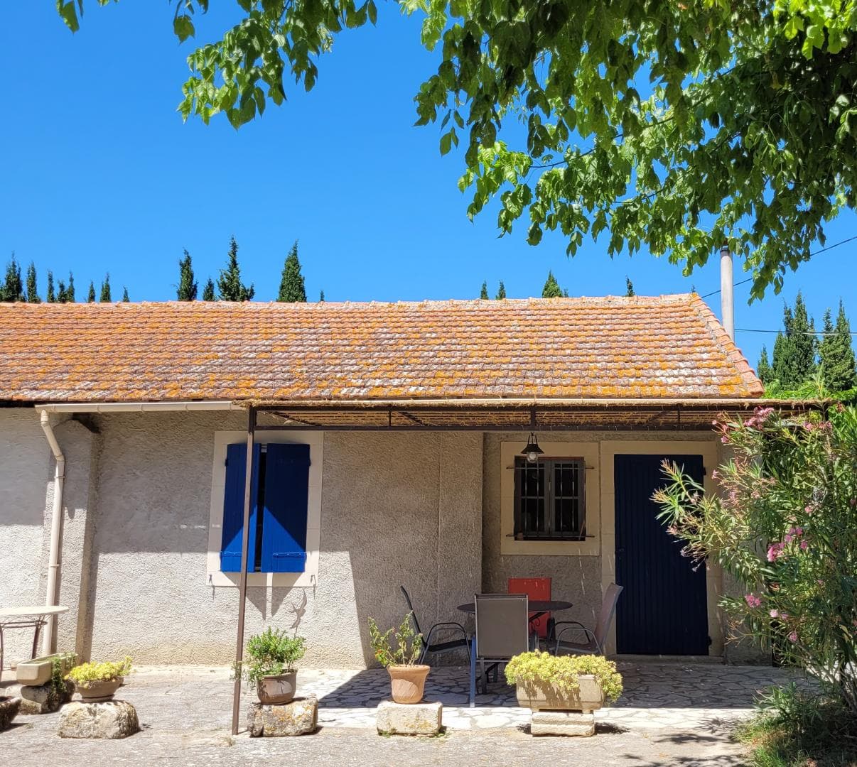 Le Cèdre