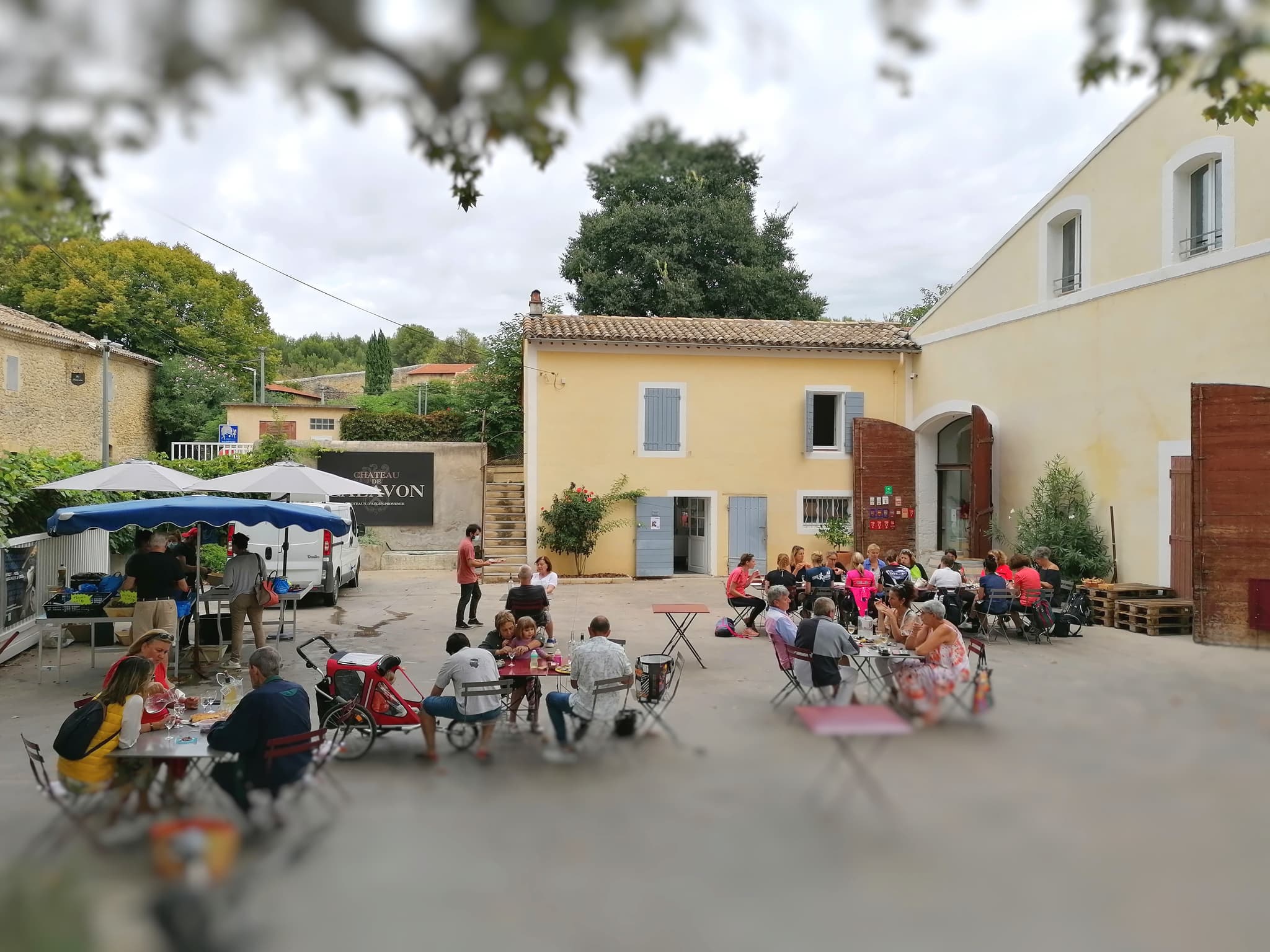 Vins et coquillages