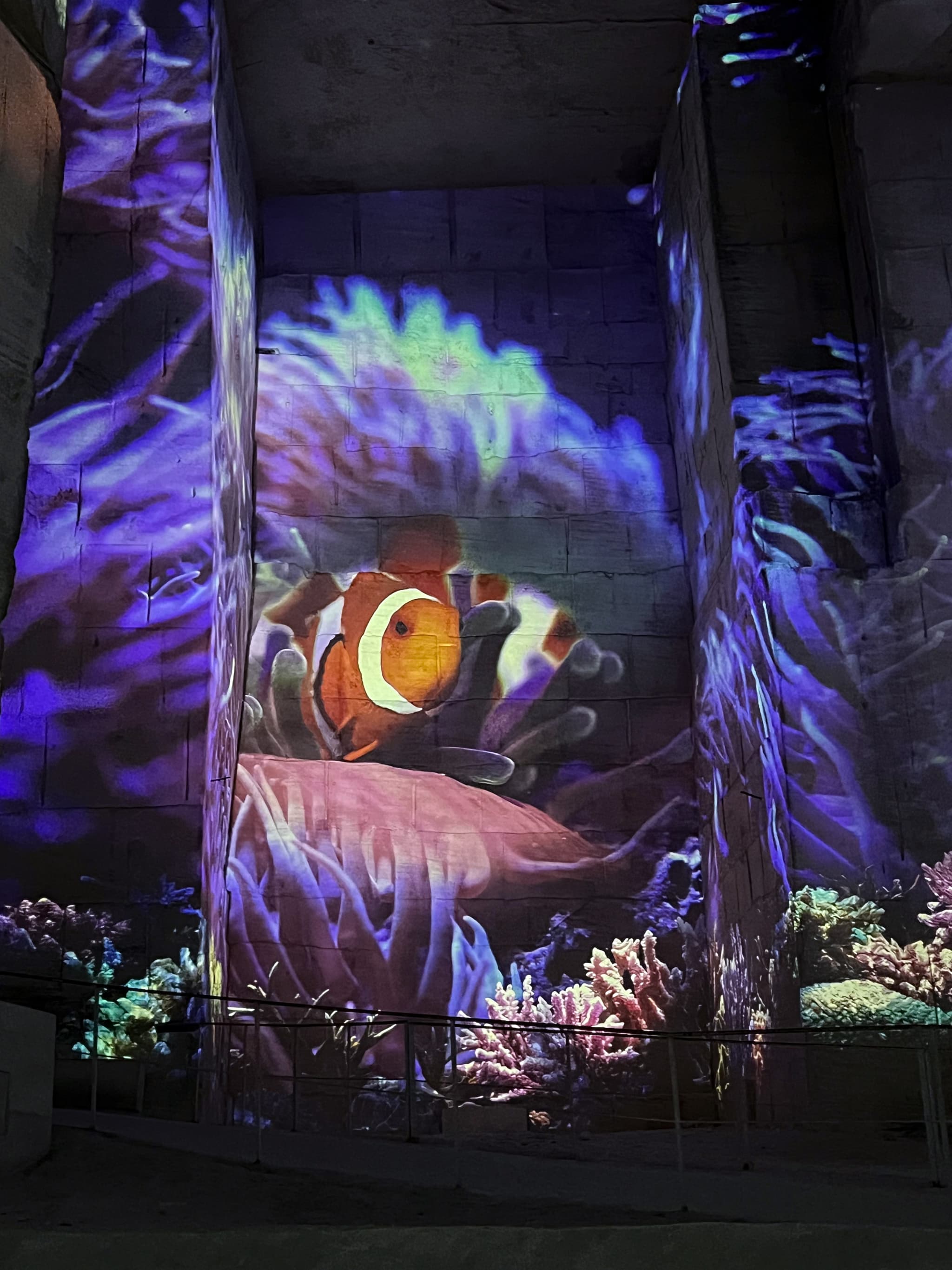Carrières-des-Lumières : Océan, immersion dans le monde sous-marin_Les Baux-de-Provence