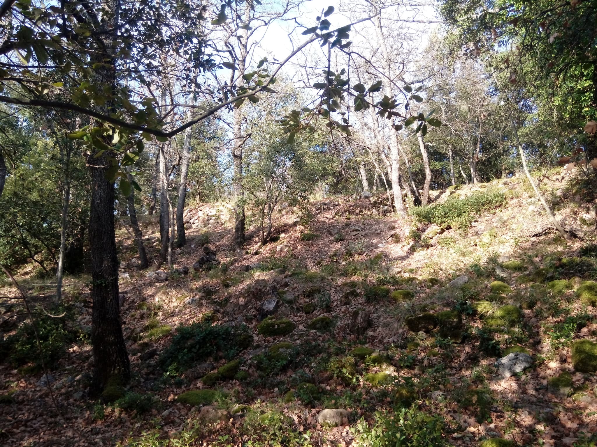Randonnée "Le Castrum Saint-Michel"