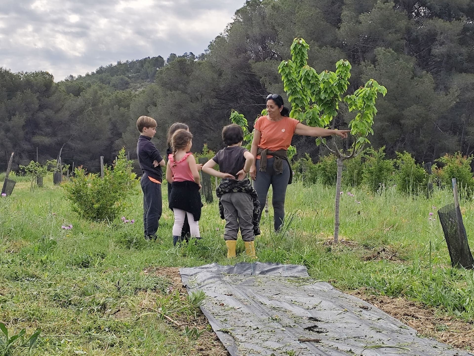 Cueillette de grenades à Martigues : Dégustation et récolte en famille_Martigues