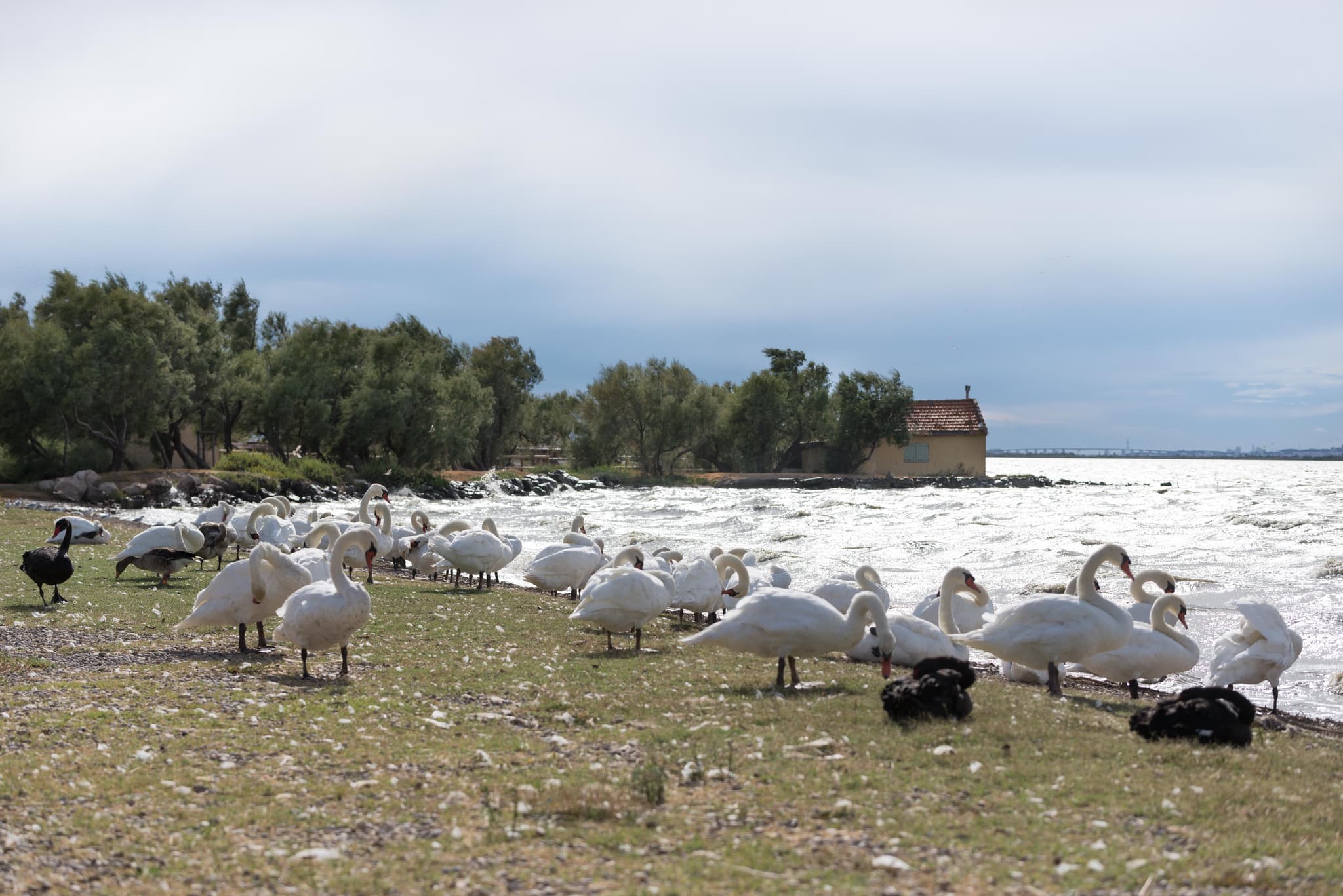 Marignane au fil de l'eau