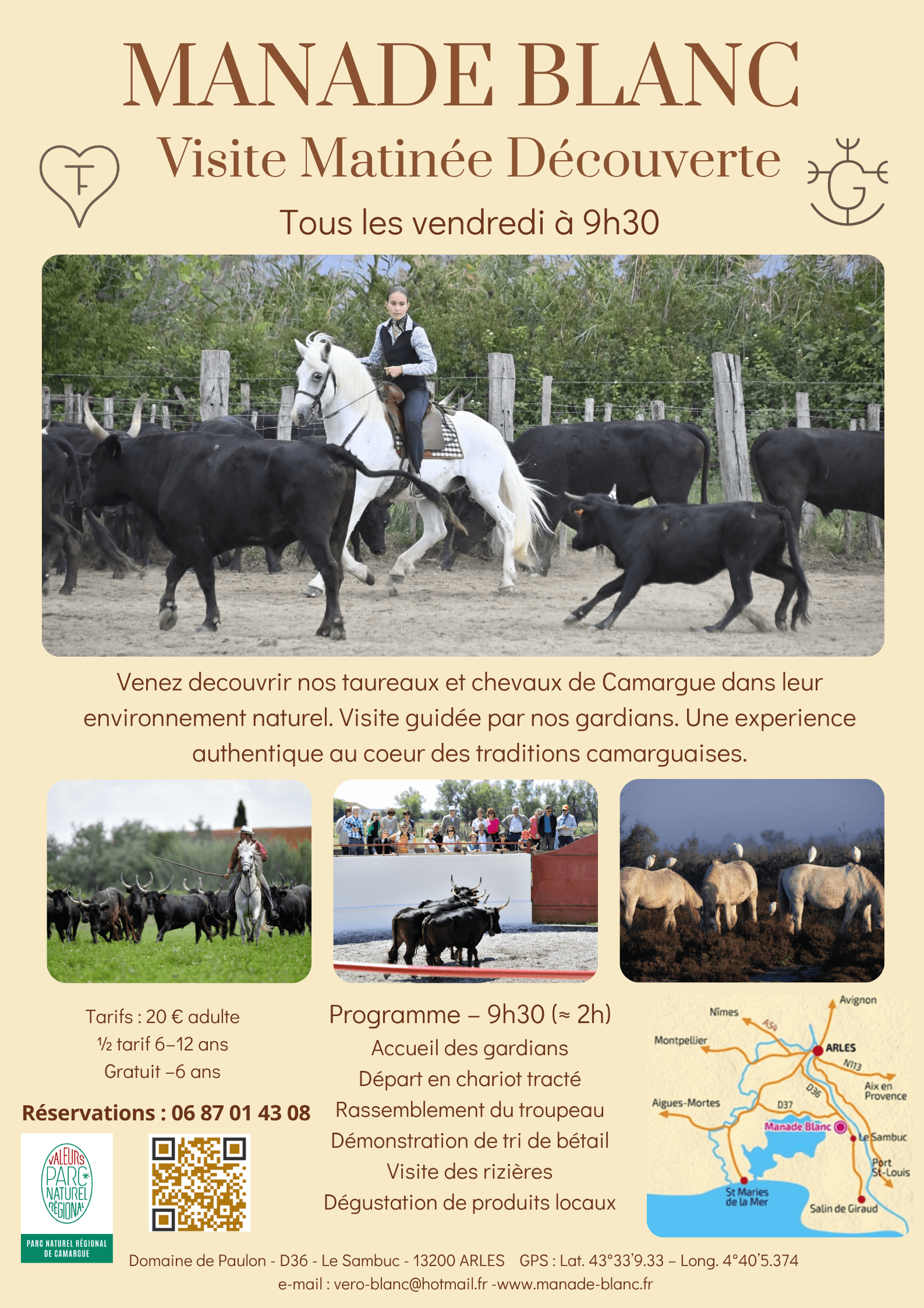 Découverte de la manade Blanc avec tri de bétail_Arles
