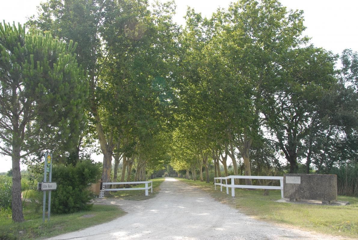 Le Jardin