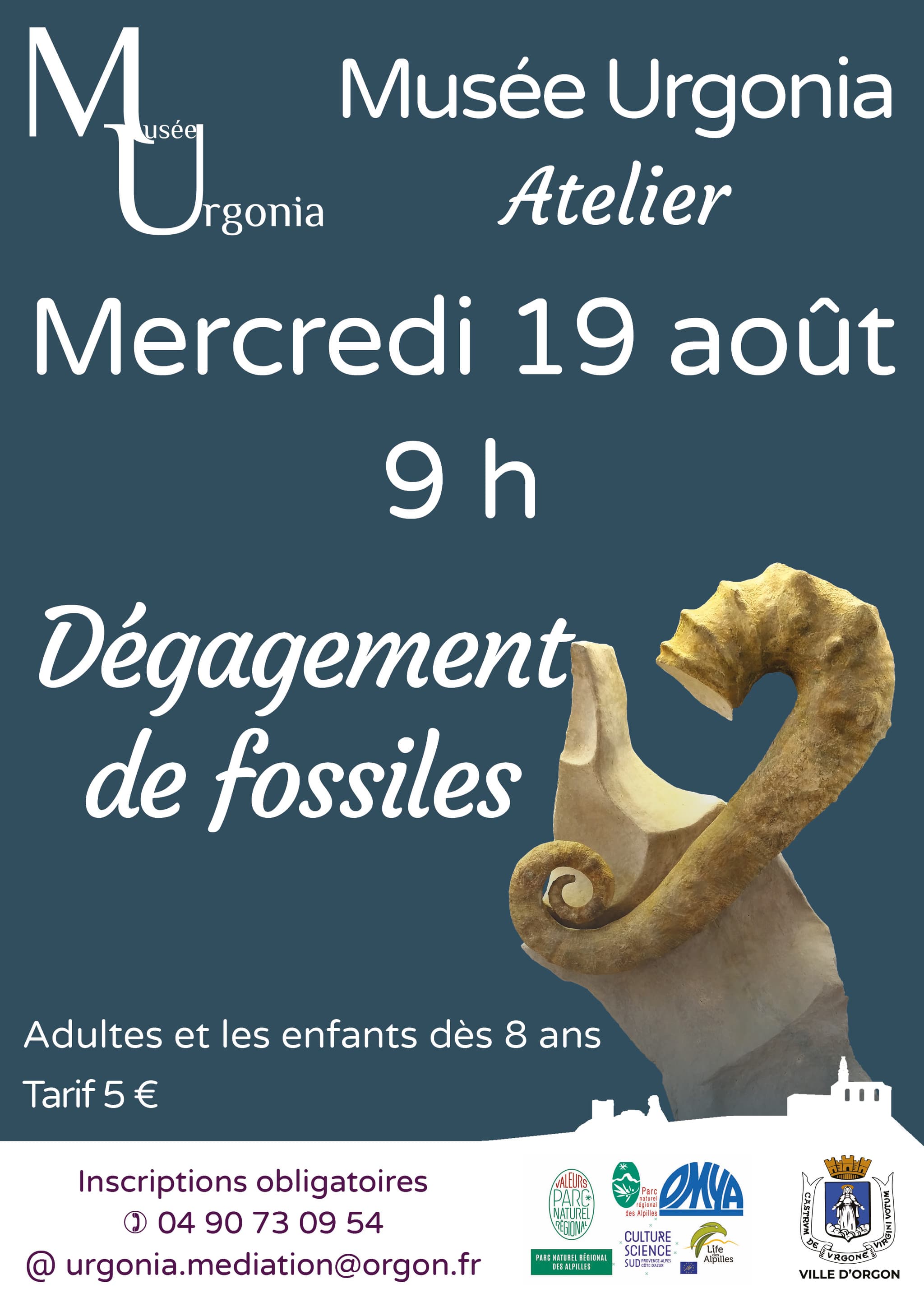 Atelier d'initiation au dégagement de fossiles_Orgon