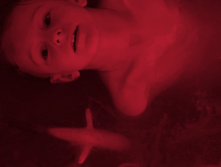 LUMA Arles / In the Veins_Arles