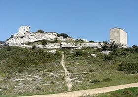13T2001157_2_WEB.jpg