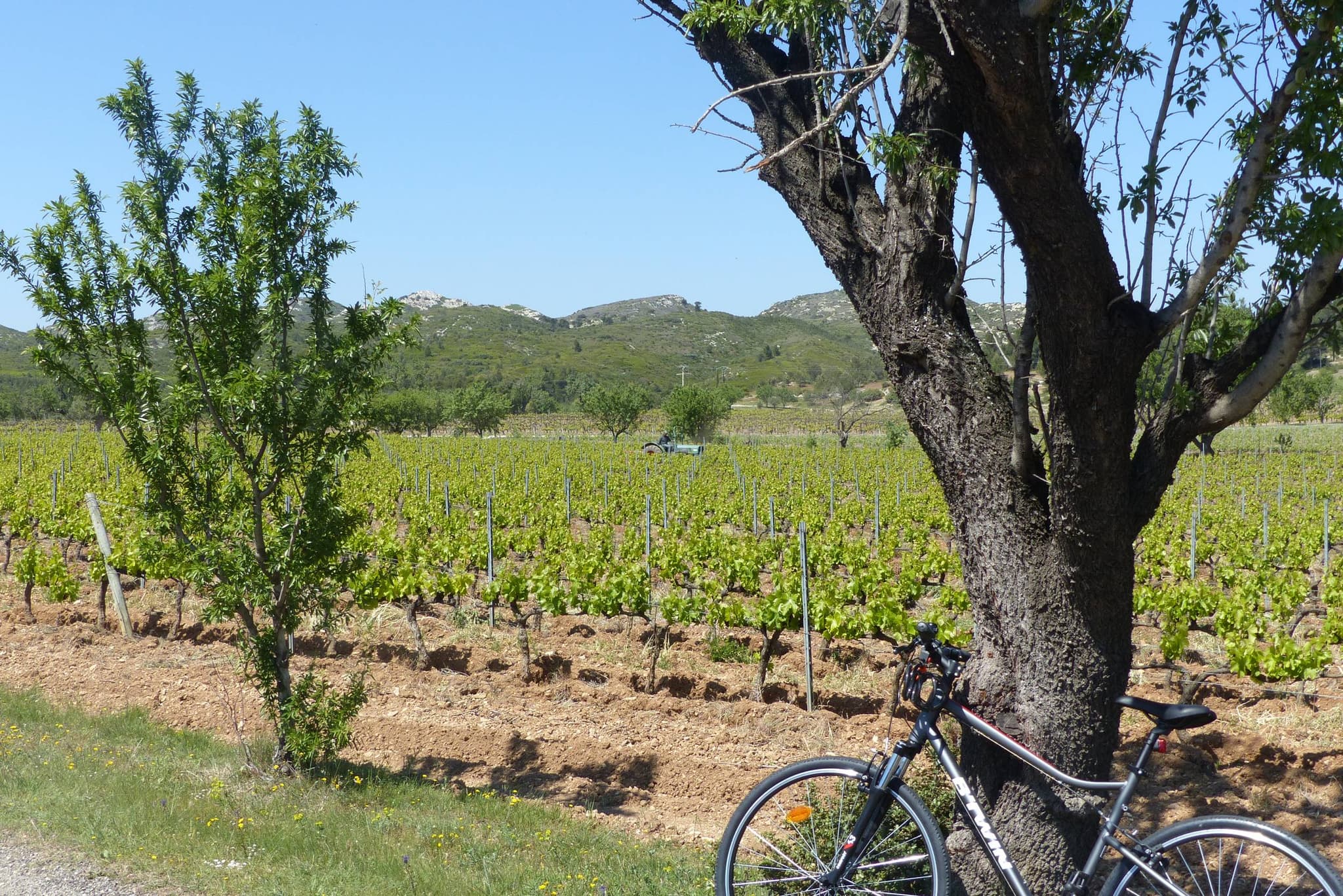 MOURIÈS - Alpilles-Roquemartine à vélo : la variante de Mouriès
