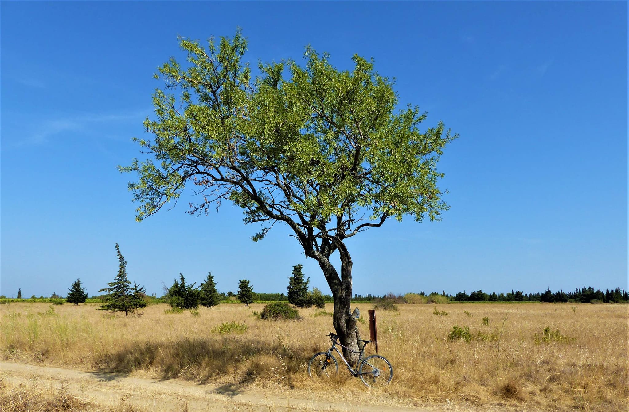 SAINT-RÉMY-DE-PROVENCE - La Routo : pèr draio e pèr camin à VTT