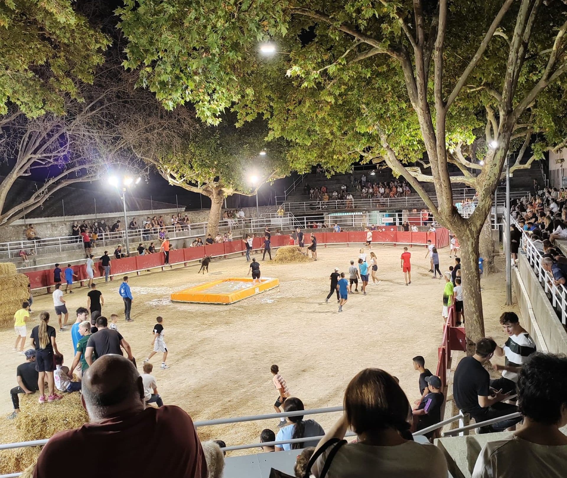 Tarascon Taureau Piscine / Club "Lou Tau"_Tarascon